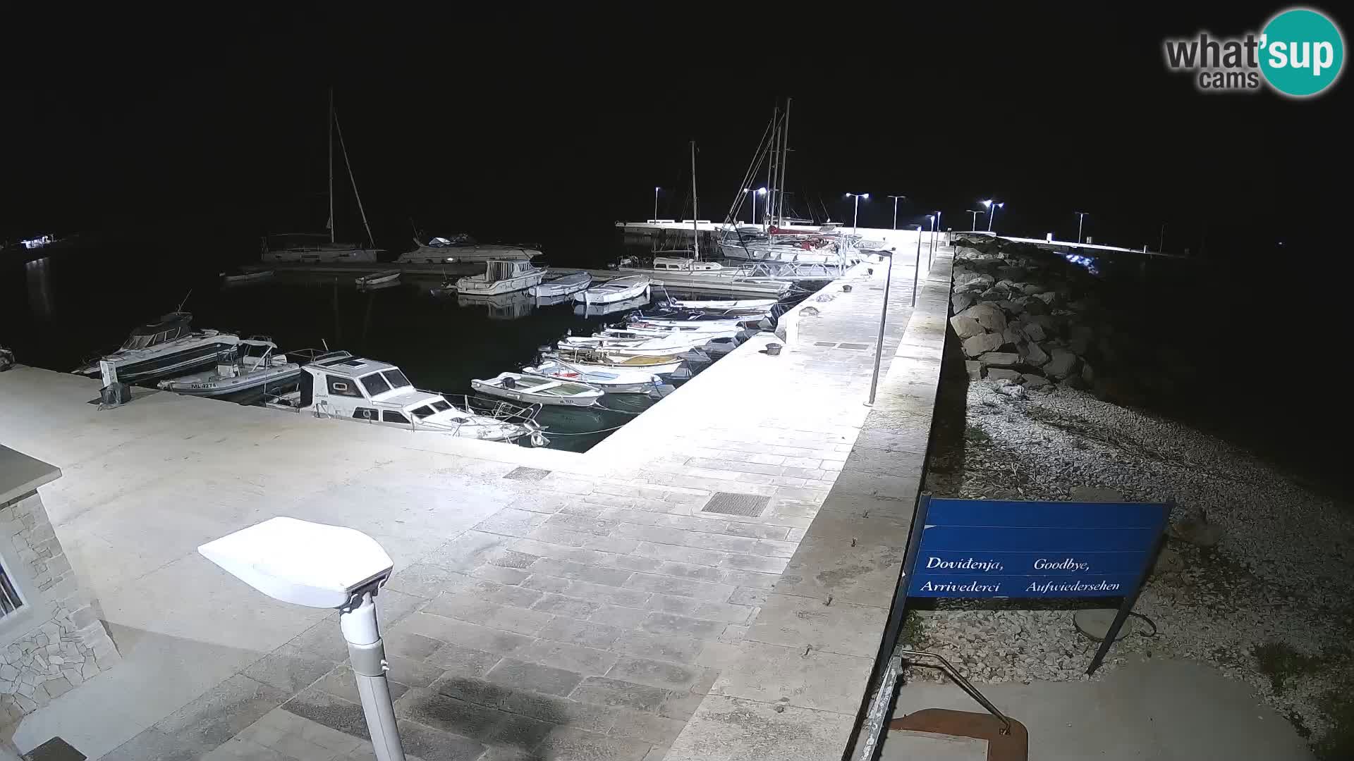 Cámara web de la isla de Unije: explore la belleza de la joya escondida de Croacia