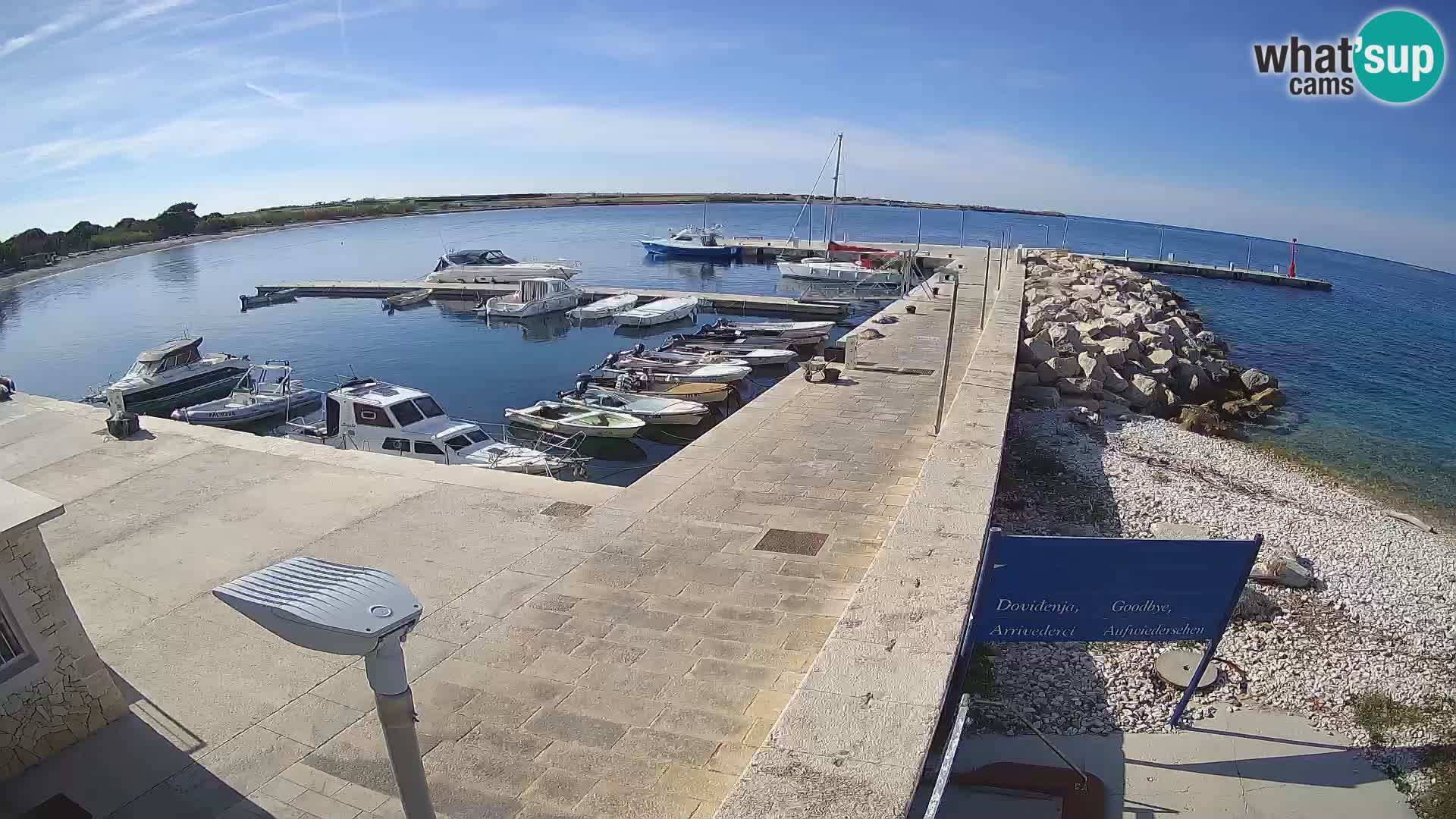 Cámara web de la isla de Unije: explore la belleza de la joya escondida de Croacia