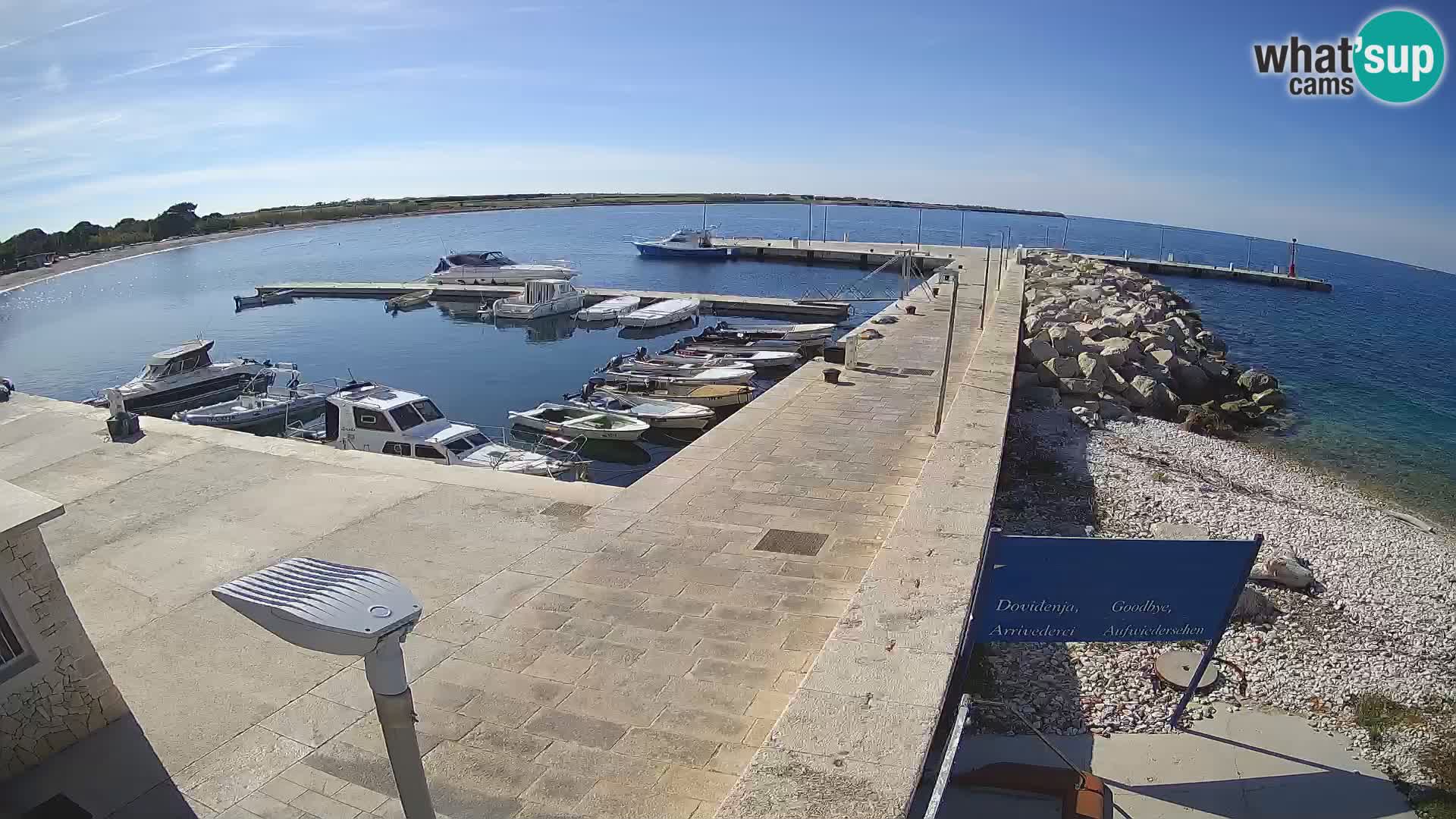 Cámara web de la isla de Unije: explore la belleza de la joya escondida de Croacia