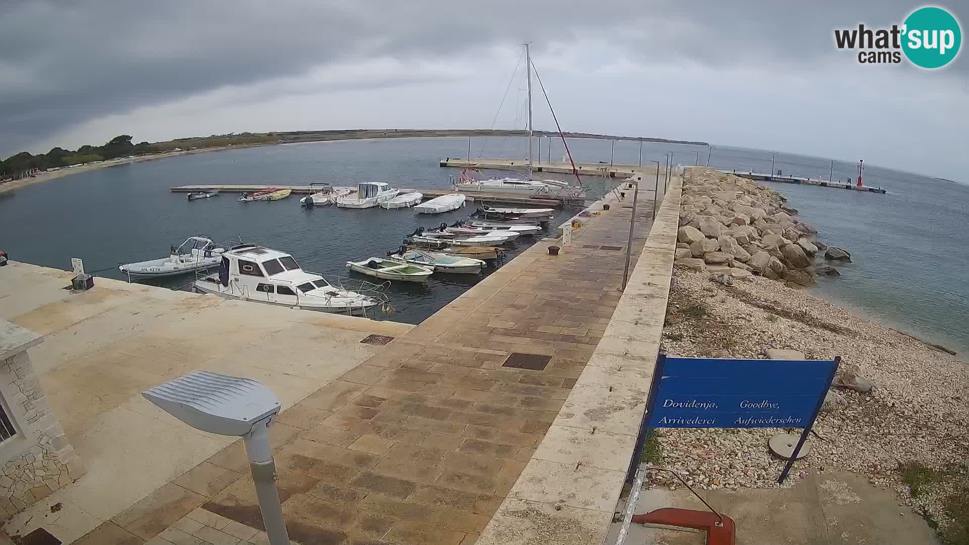 Cámara web de la isla de Unije: explore la belleza de la joya escondida de Croacia