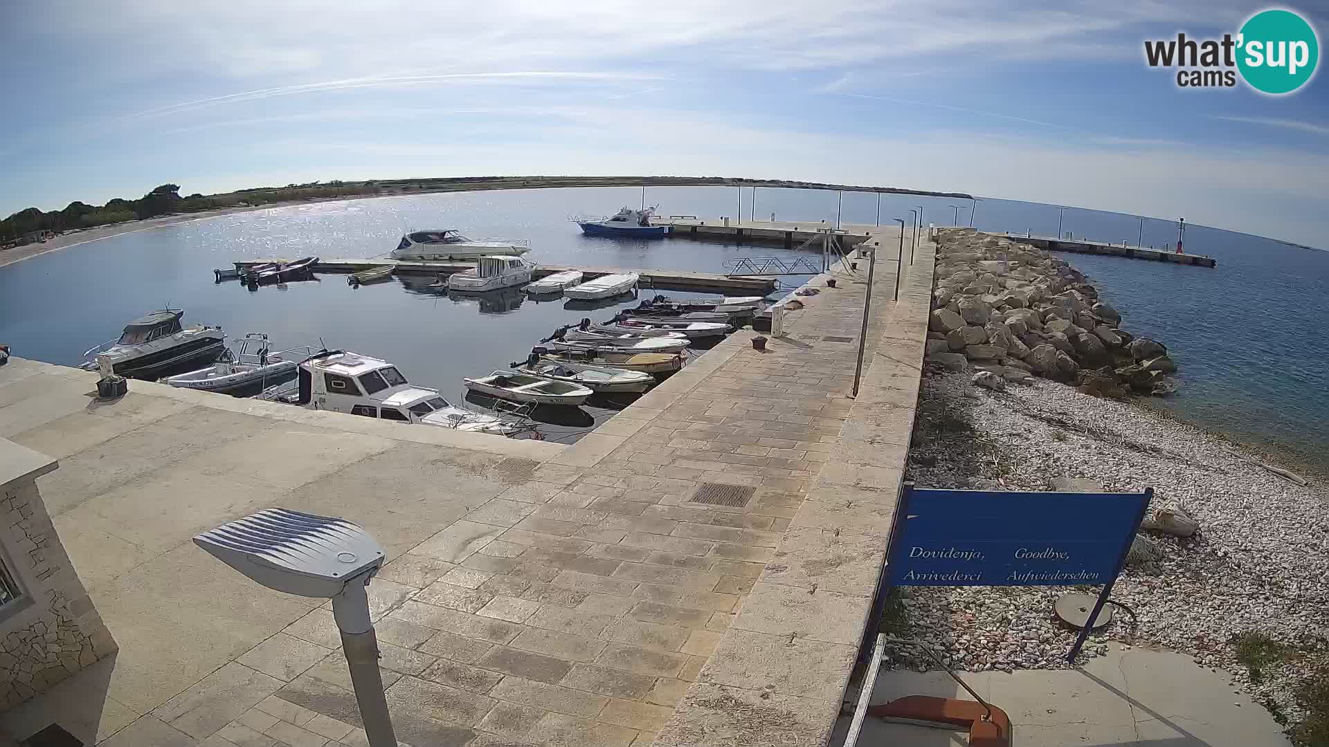 Cámara web de la isla de Unije: explore la belleza de la joya escondida de Croacia