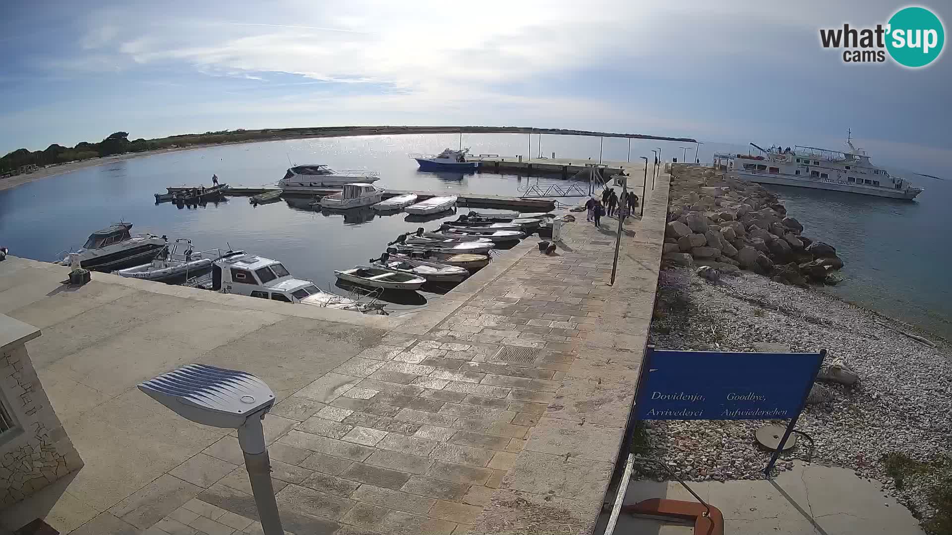 Cámara web de la isla de Unije: explore la belleza de la joya escondida de Croacia