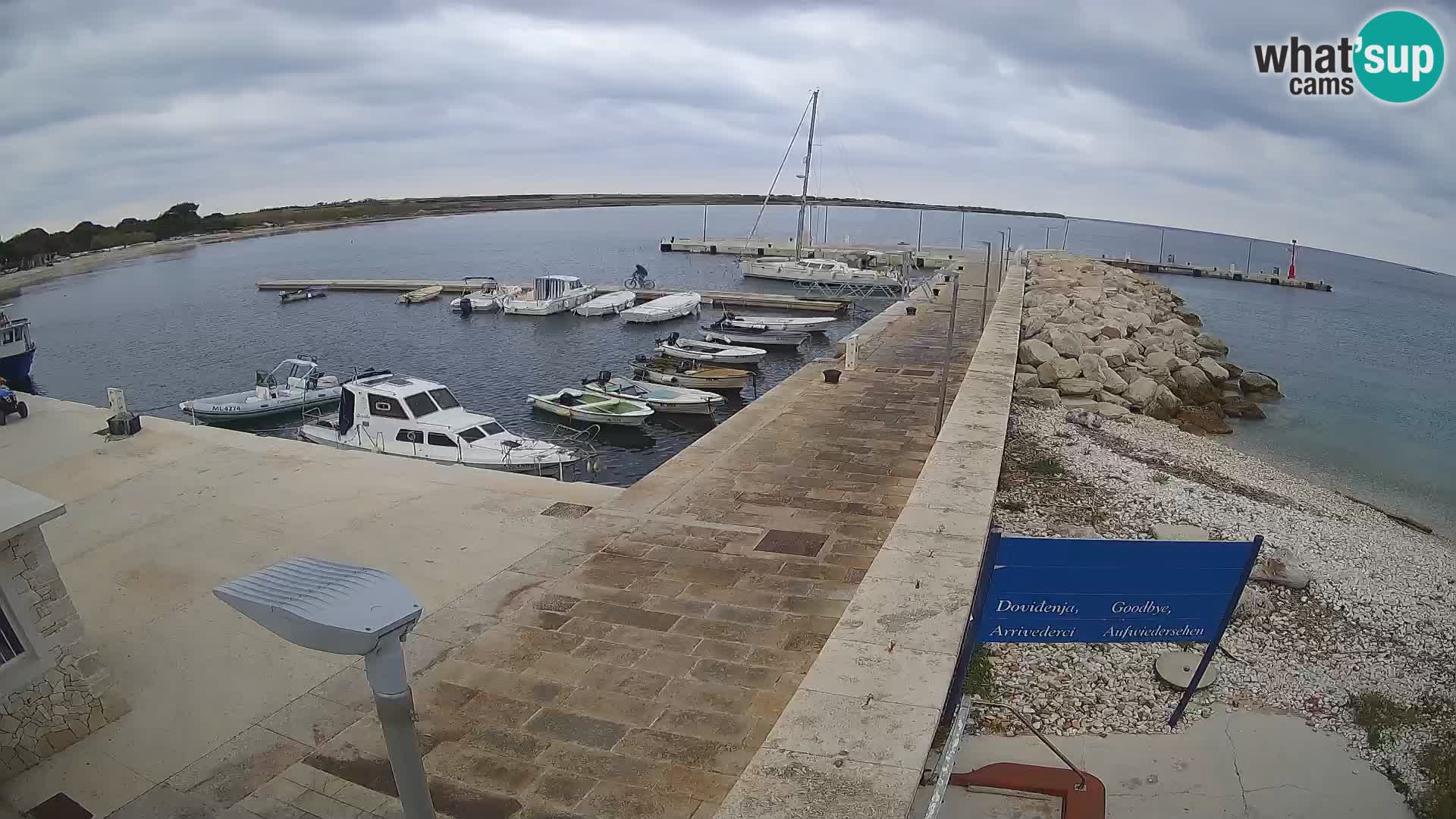 Cámara web de la isla de Unije: explore la belleza de la joya escondida de Croacia