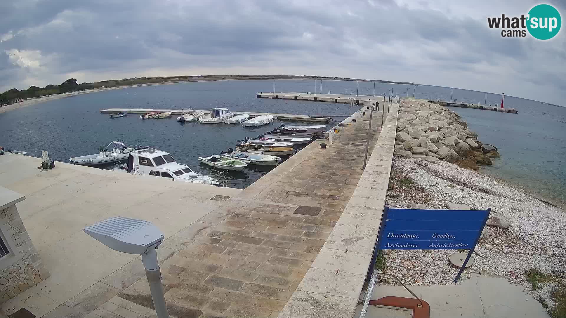 Cámara web de la isla de Unije: explore la belleza de la joya escondida de Croacia
