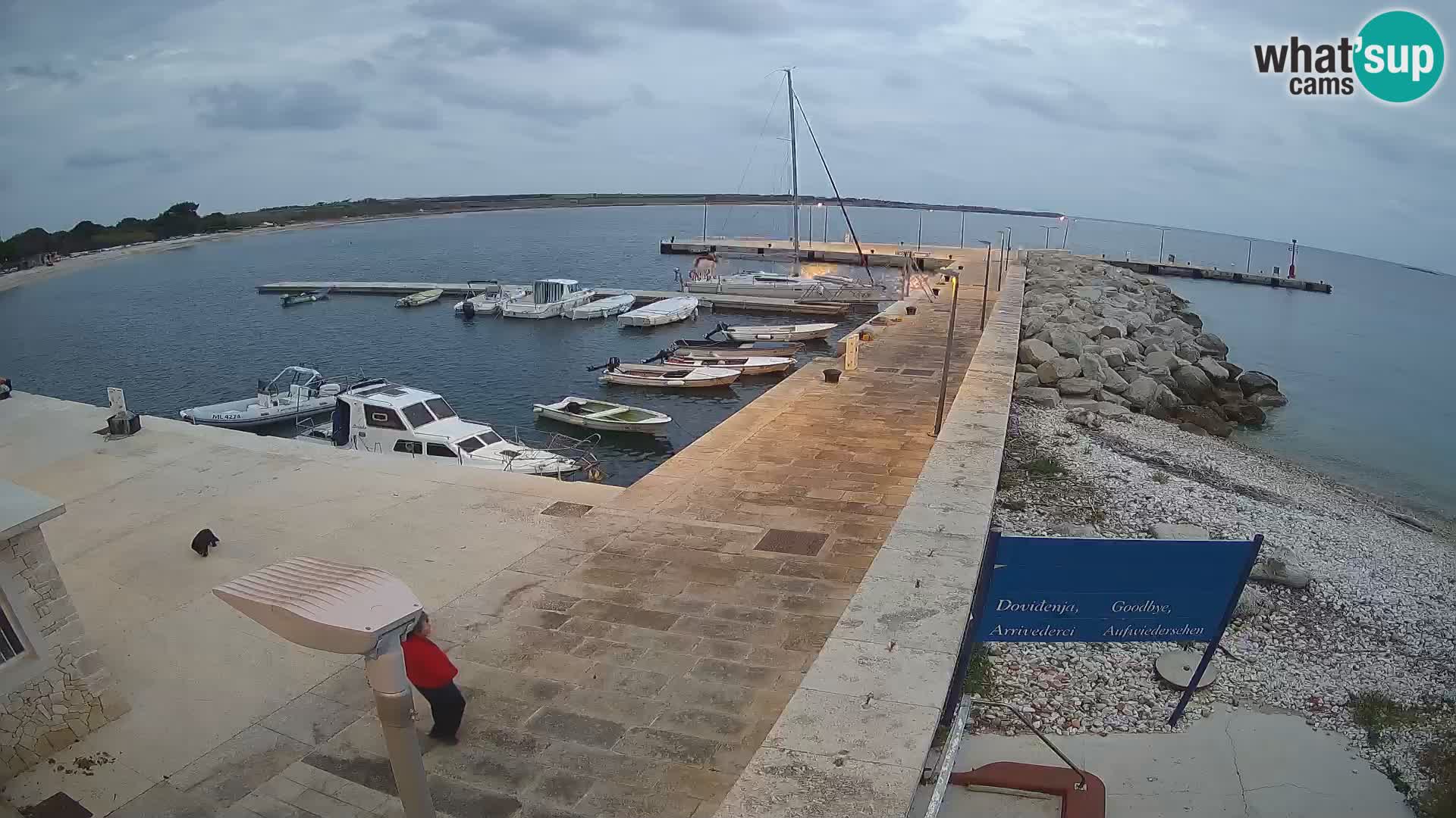 Insel Unije Webcam – Entdecken Sie die Schönheit von Kroatiens verstecktem Juwel