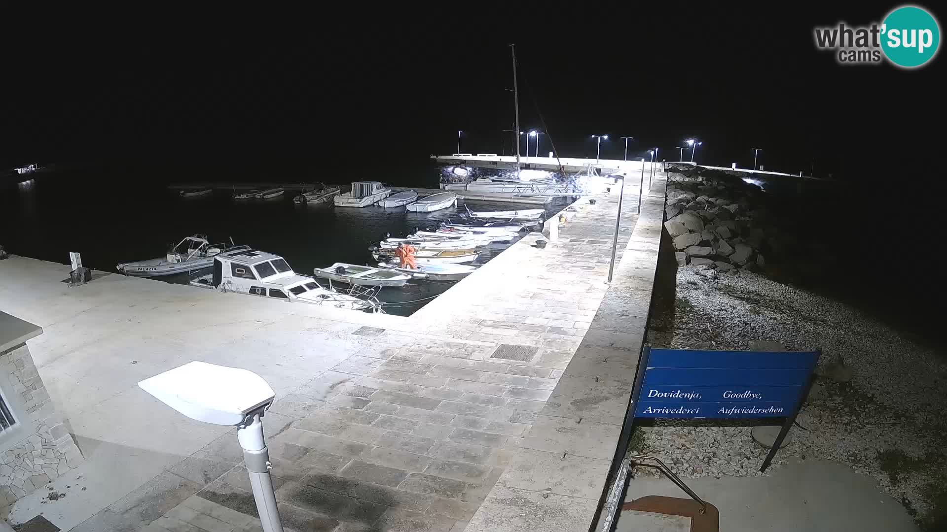 Webcam Isola di Unije – Esplora la bellezza della gemma nascosta della Croazia