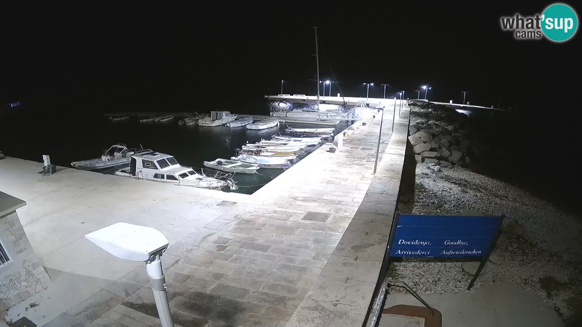 Cámara web de la isla de Unije: explore la belleza de la joya escondida de Croacia