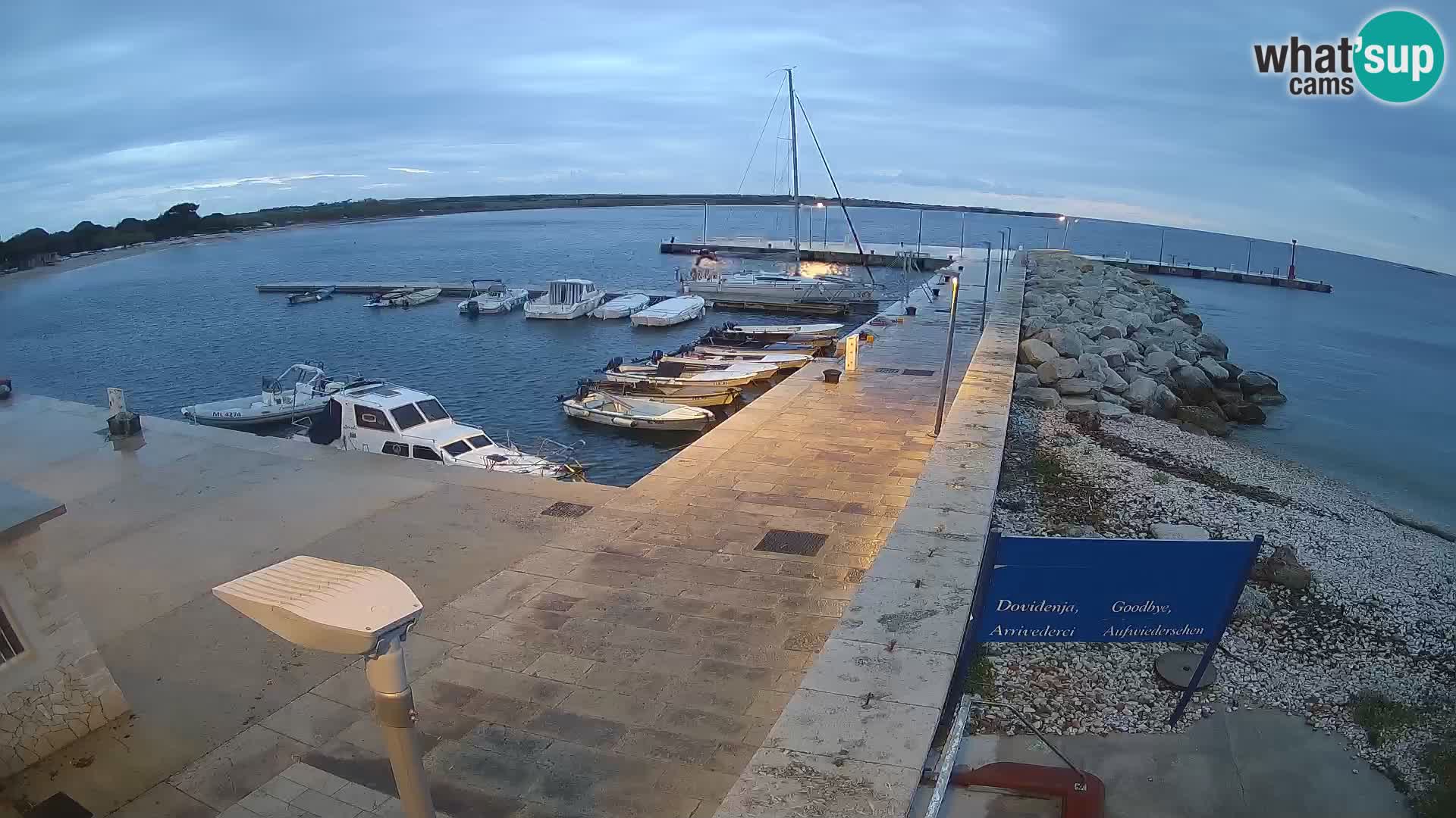 Cámara web de la isla de Unije: explore la belleza de la joya escondida de Croacia