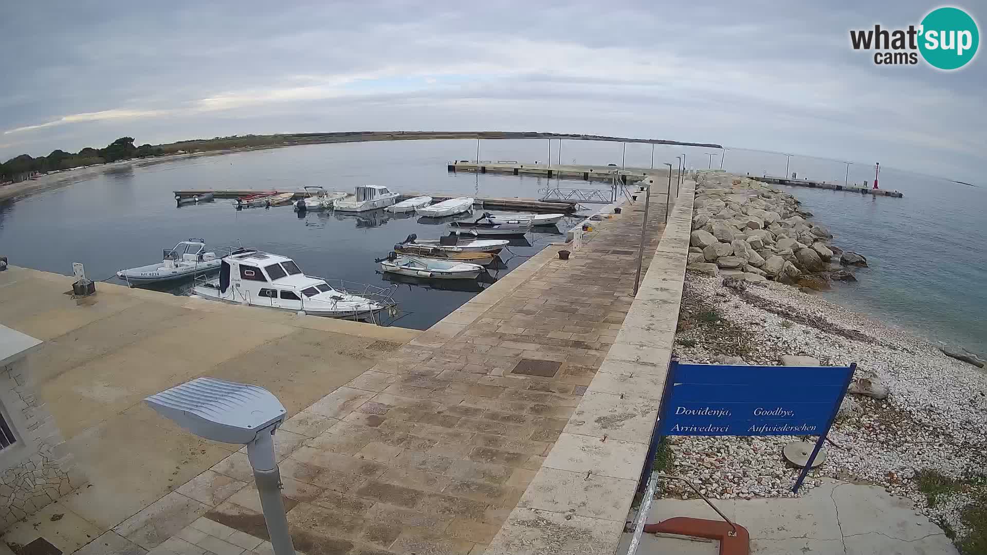 Cámara web de la isla de Unije: explore la belleza de la joya escondida de Croacia
