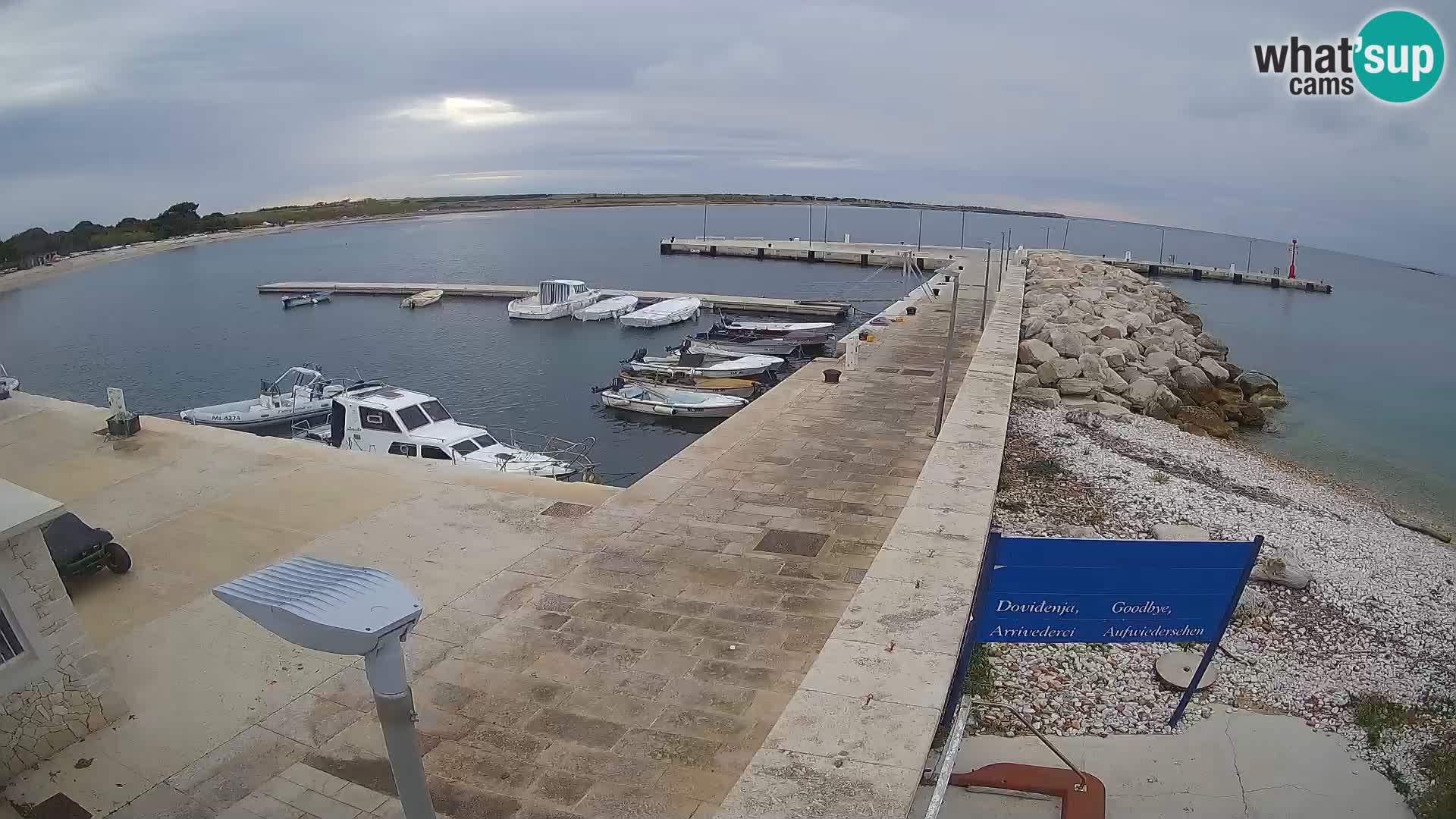 Cámara web de la isla de Unije: explore la belleza de la joya escondida de Croacia