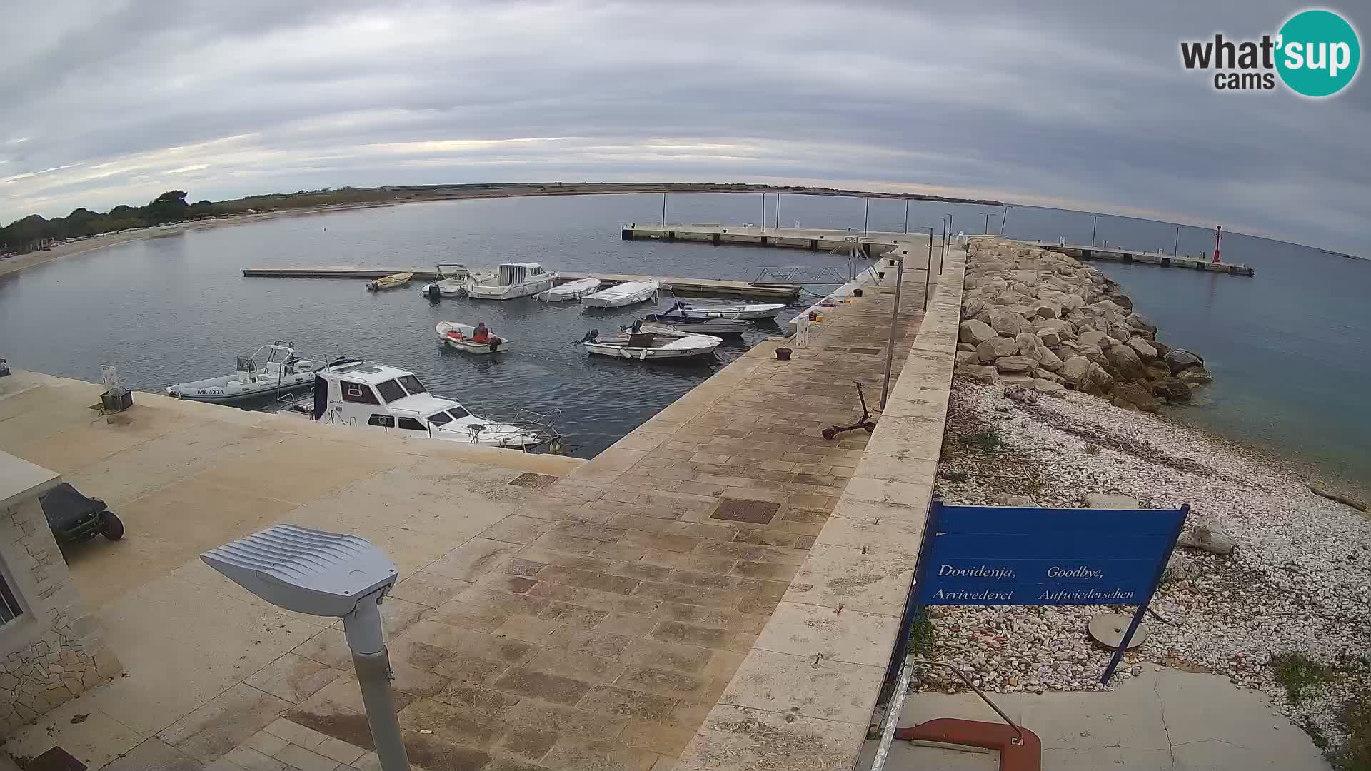 Cámara web de la isla de Unije: explore la belleza de la joya escondida de Croacia