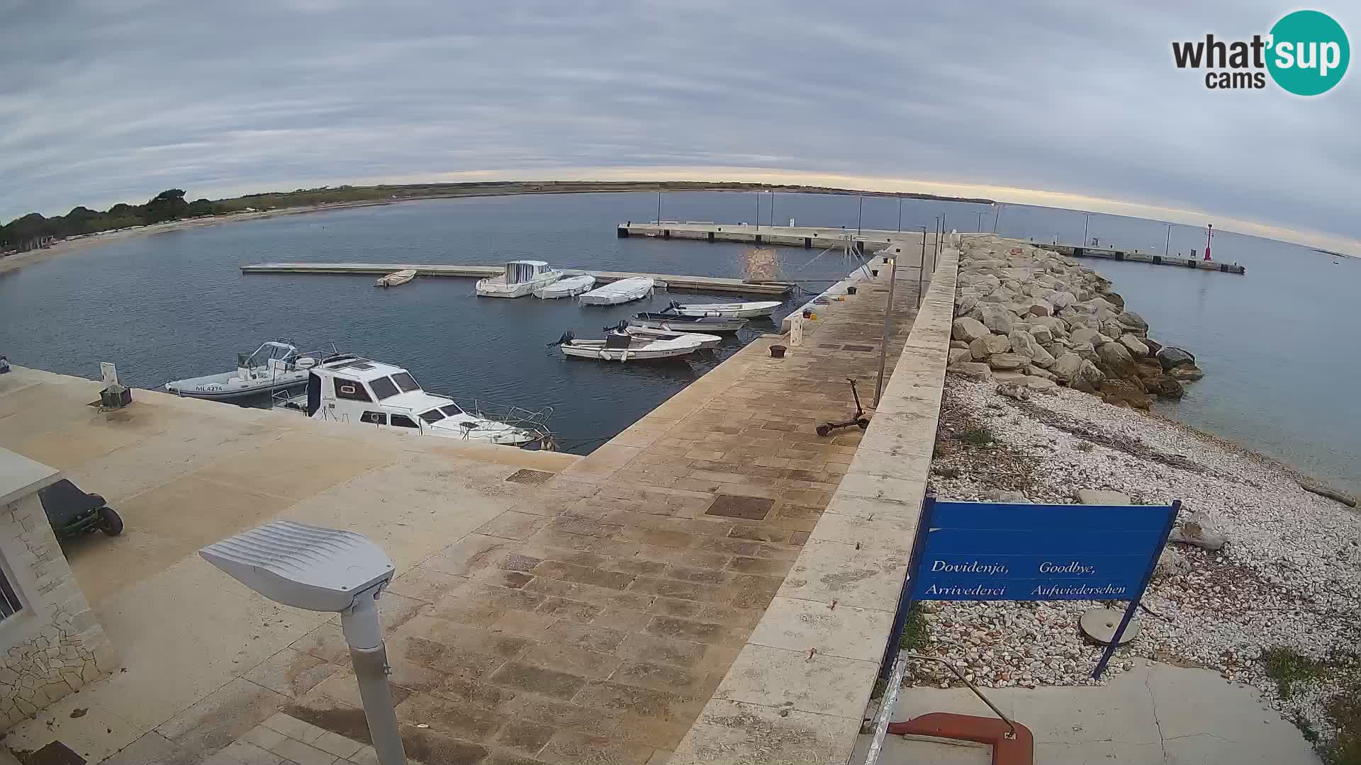 Cámara web de la isla de Unije: explore la belleza de la joya escondida de Croacia