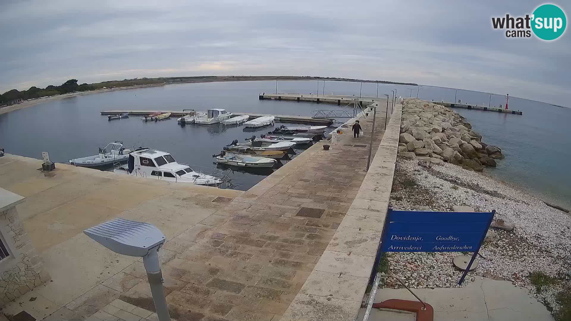 Cámara web de la isla de Unije: explore la belleza de la joya escondida de Croacia