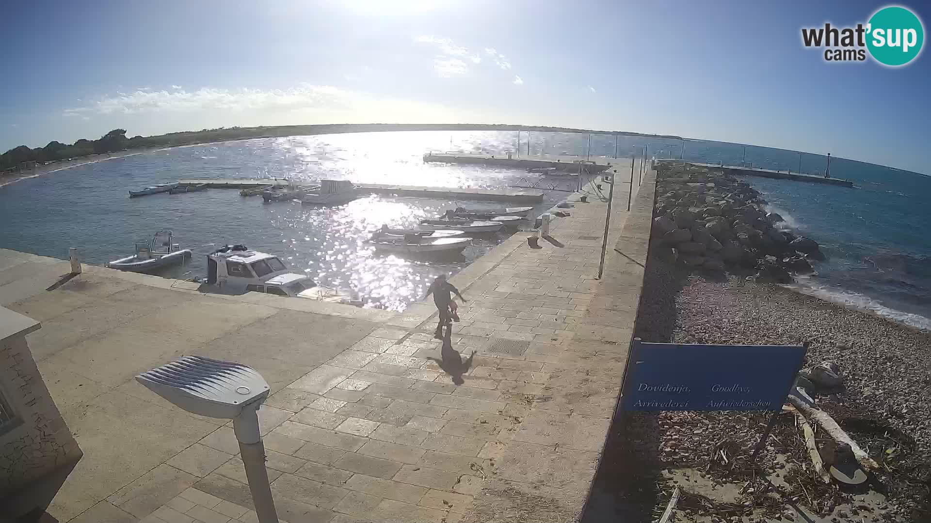 Cámara web de la isla de Unije: explore la belleza de la joya escondida de Croacia
