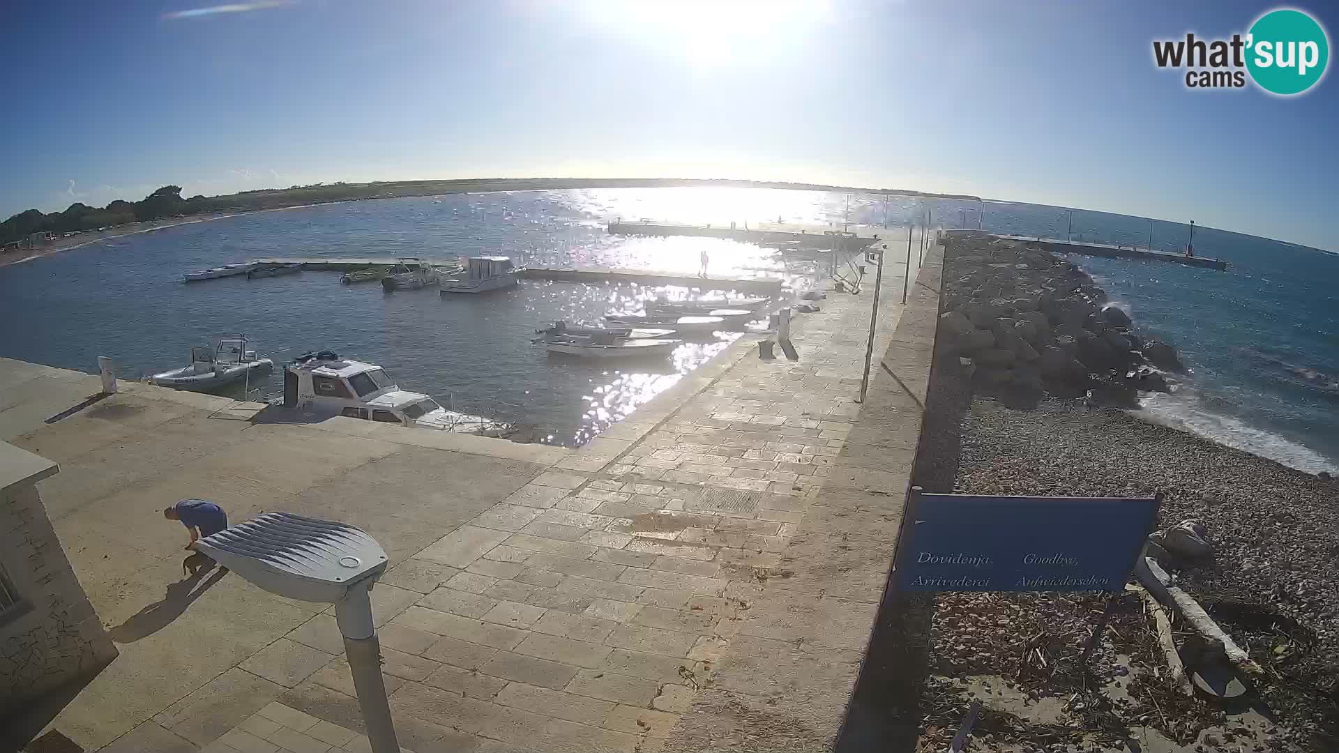 Cámara web de la isla de Unije: explore la belleza de la joya escondida de Croacia