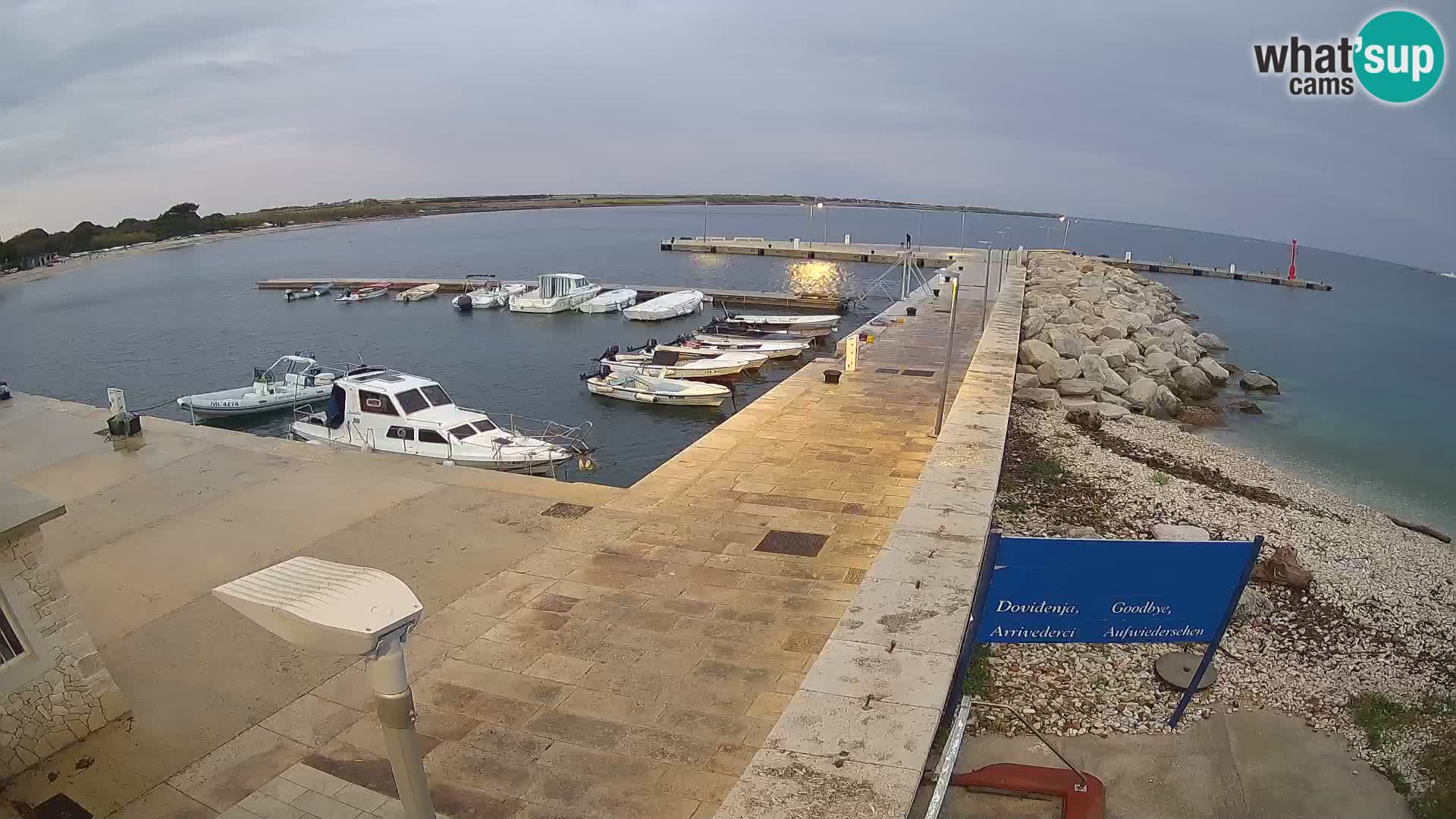 Cámara web de la isla de Unije: explore la belleza de la joya escondida de Croacia