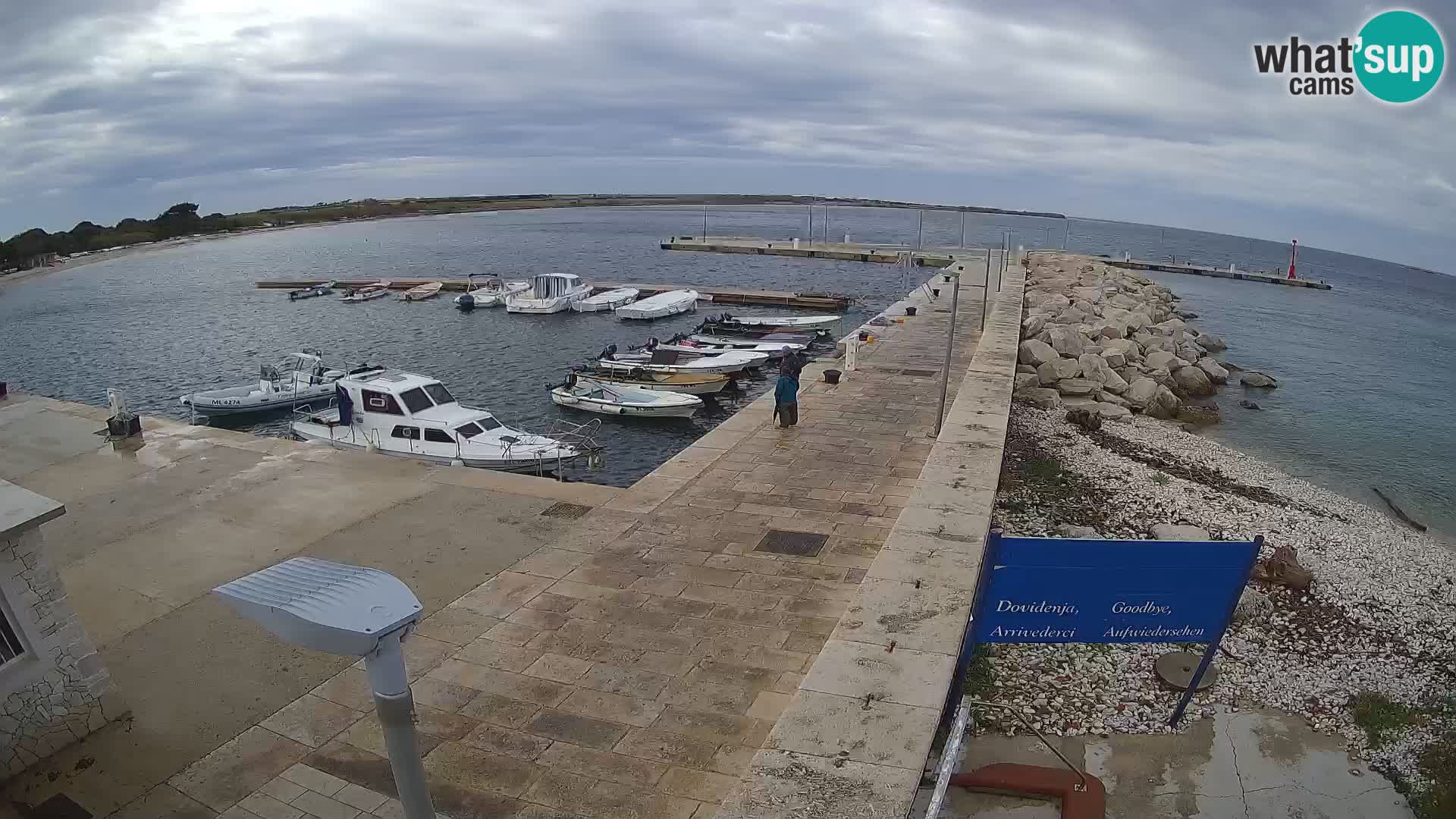 Cámara web de la isla de Unije: explore la belleza de la joya escondida de Croacia