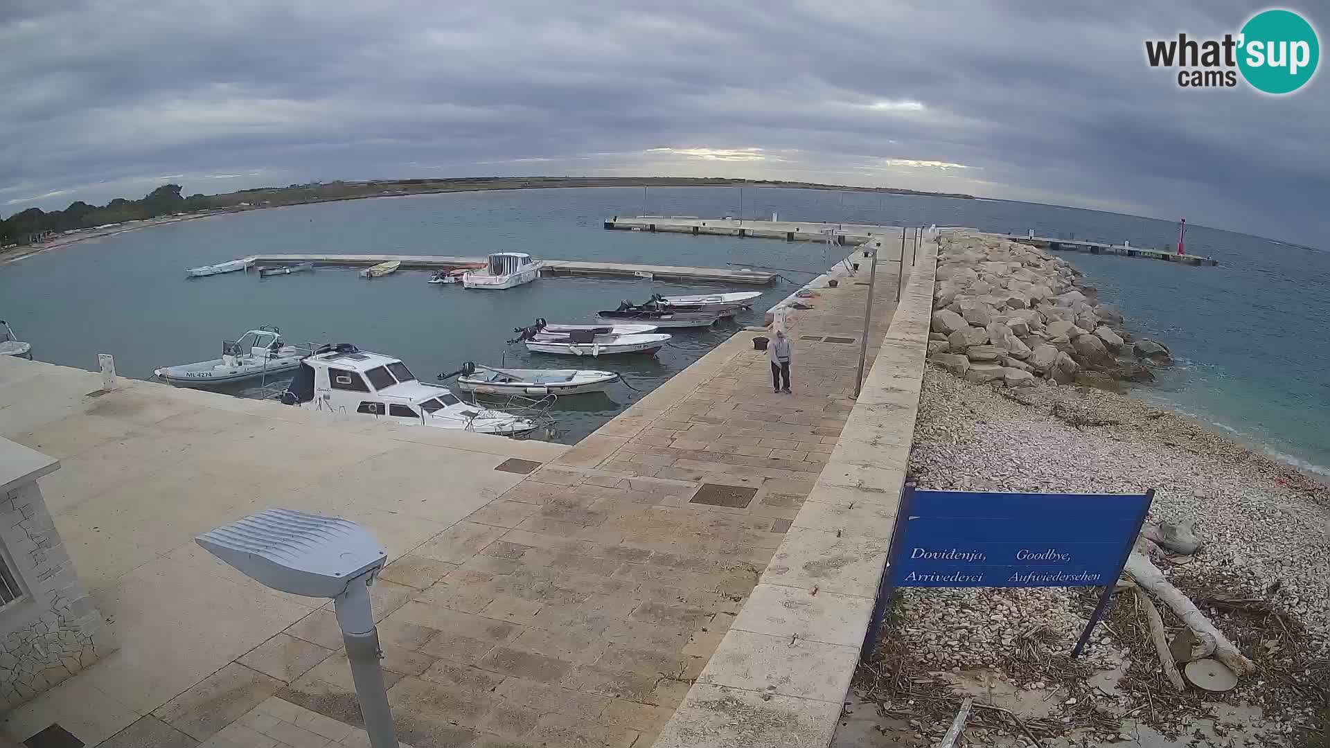 Cámara web de la isla de Unije: explore la belleza de la joya escondida de Croacia