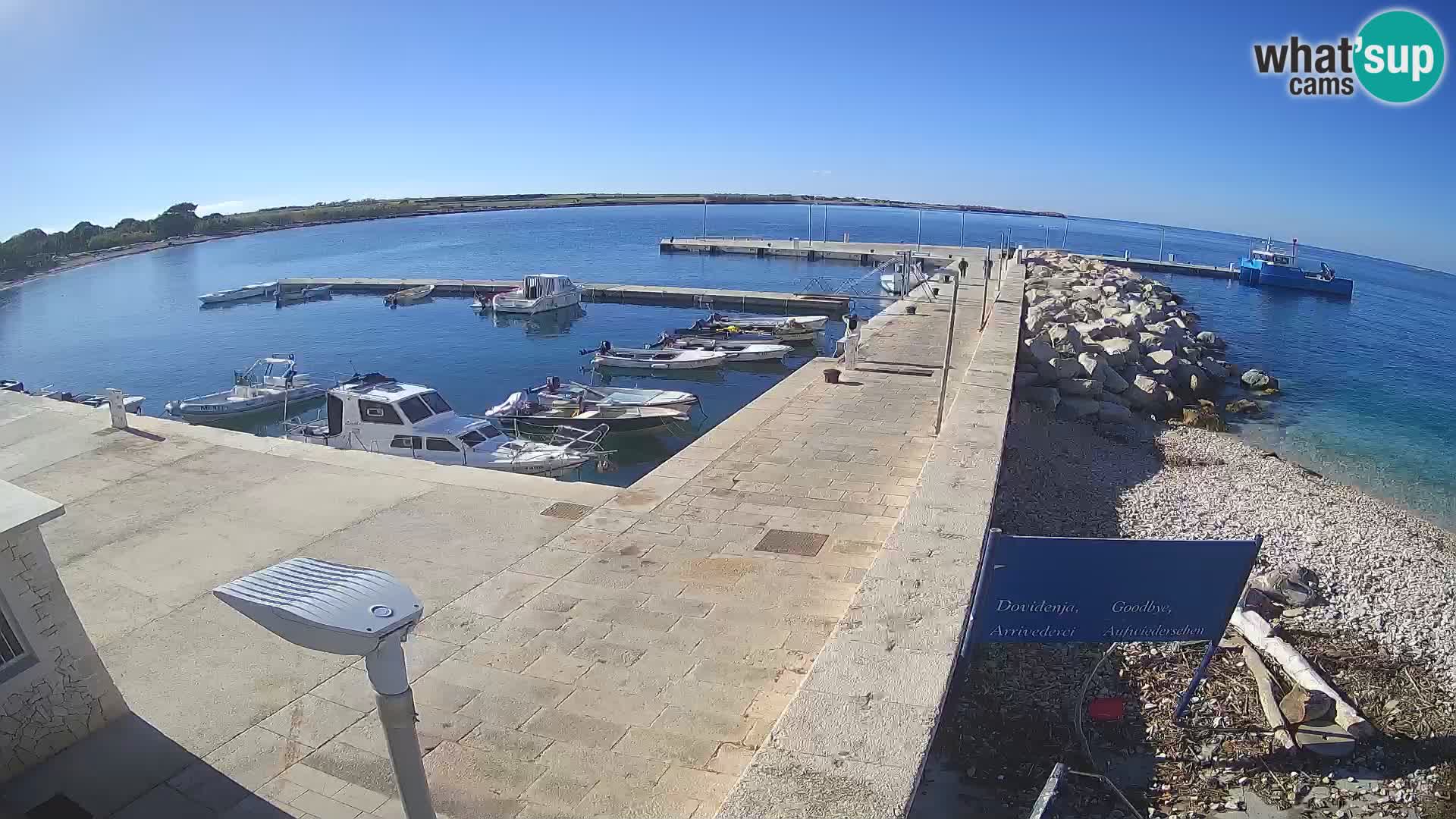 Cámara web de la isla de Unije: explore la belleza de la joya escondida de Croacia