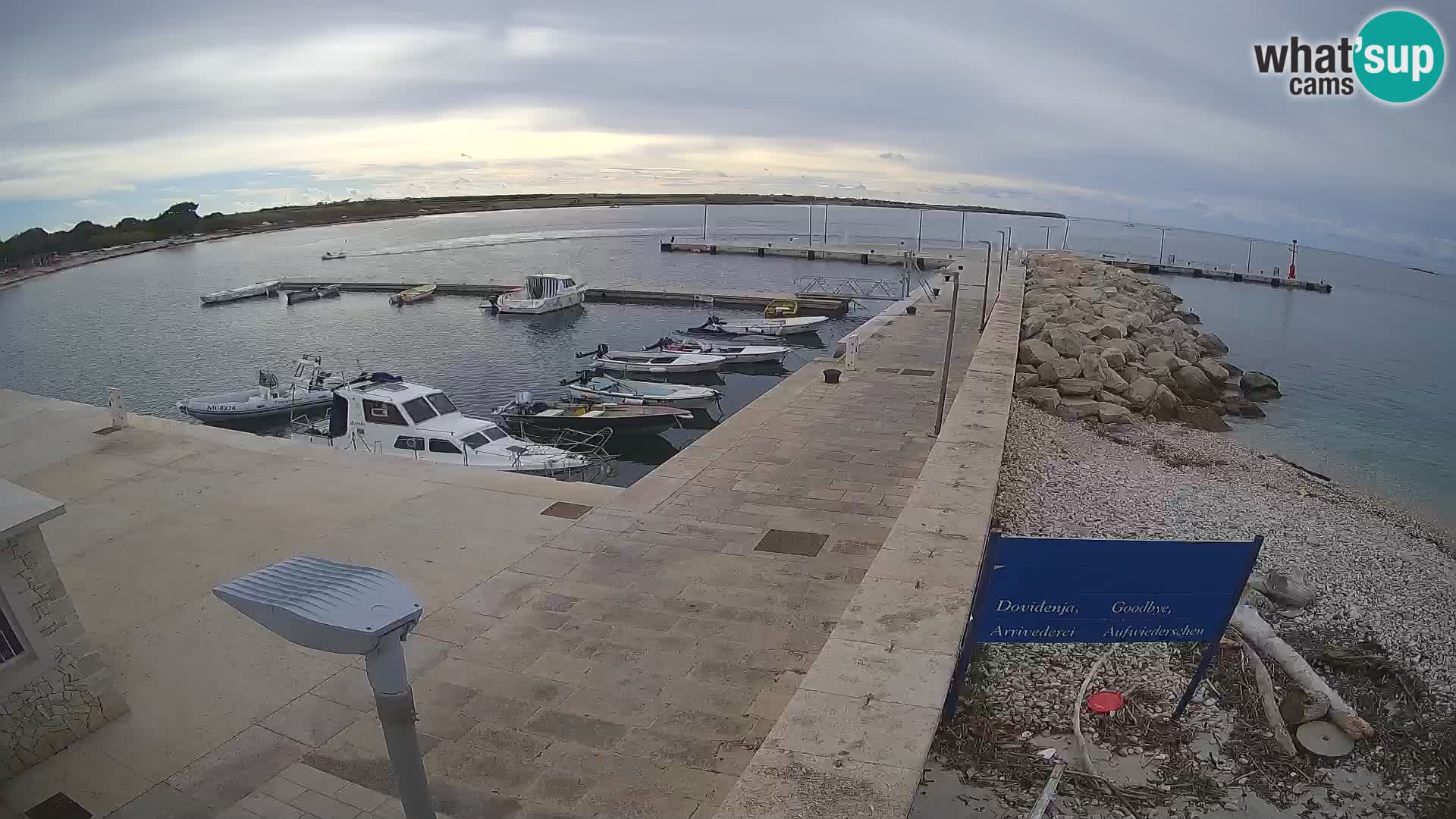 Webcam Isola di Unije – Esplora la bellezza della gemma nascosta della Croazia