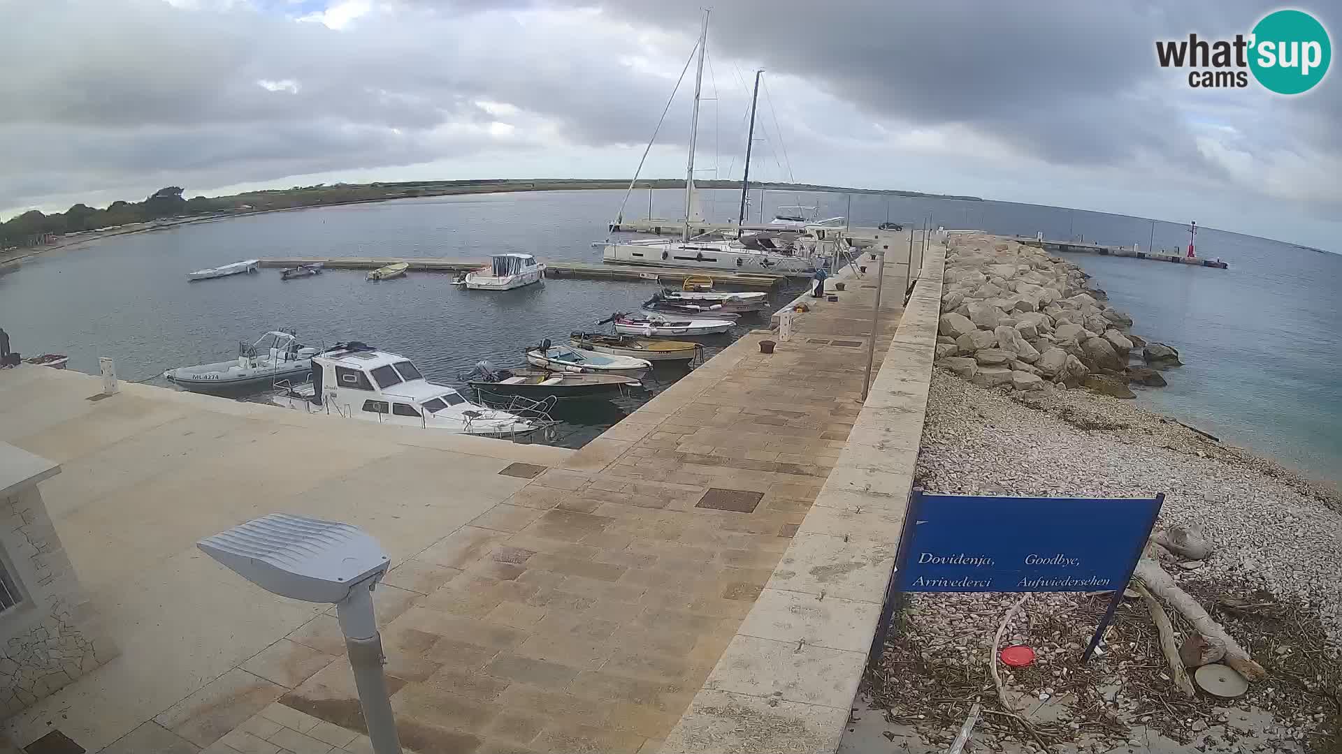 Cámara web de la isla de Unije: explore la belleza de la joya escondida de Croacia