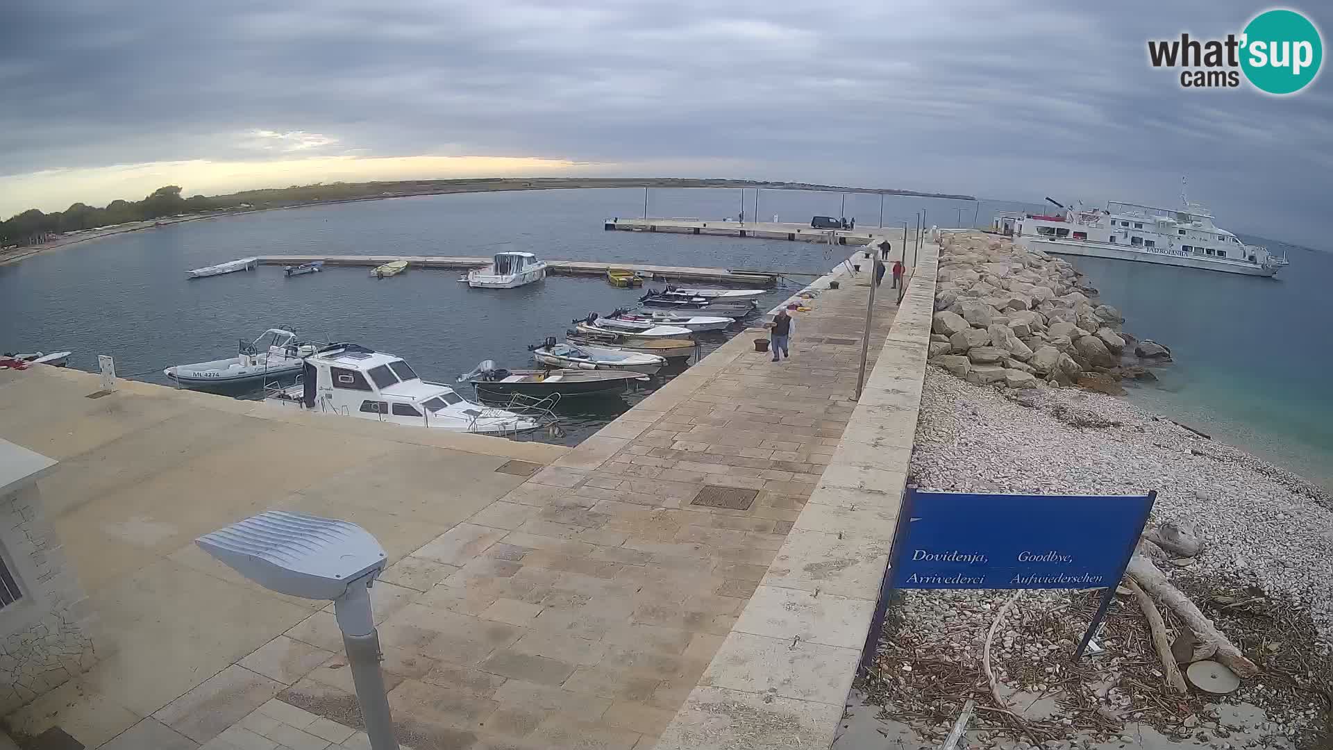 Webcam Isola di Unije – Esplora la bellezza della gemma nascosta della Croazia