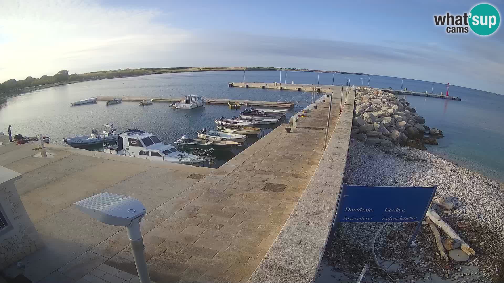 Cámara web de la isla de Unije: explore la belleza de la joya escondida de Croacia