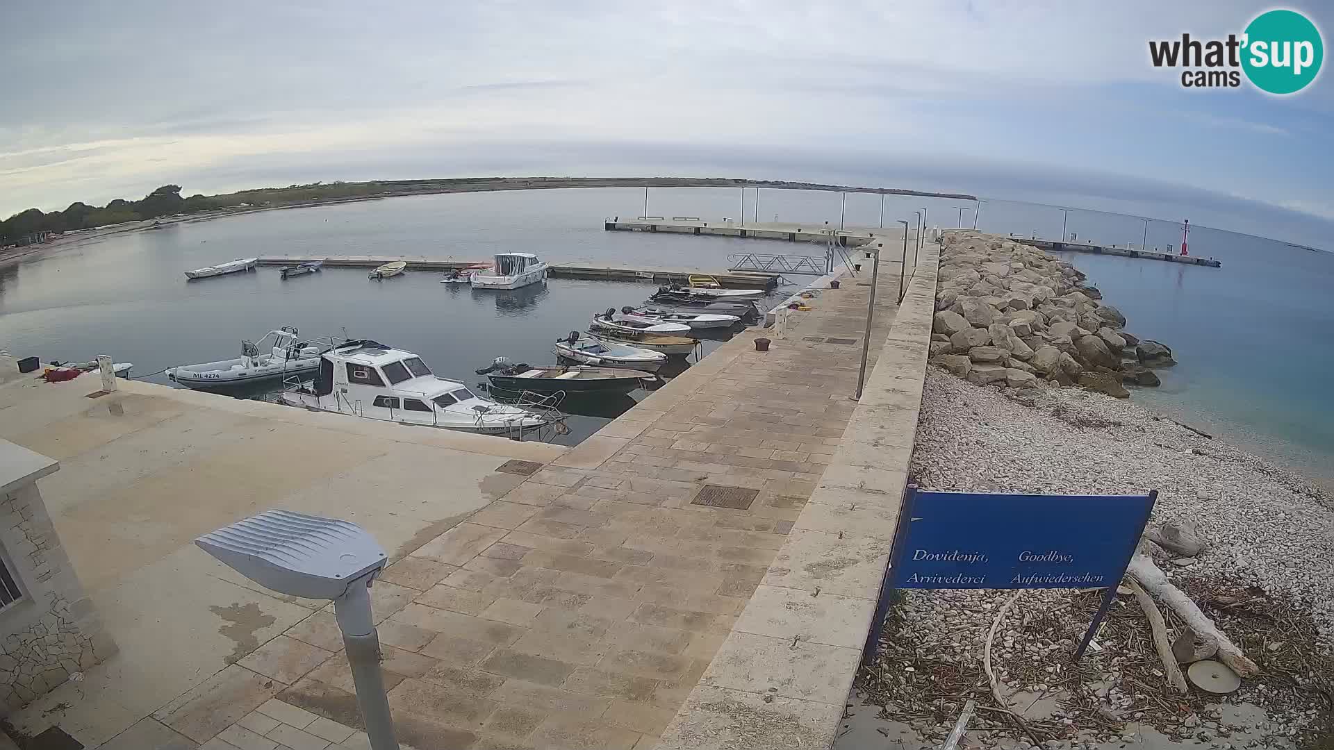 Cámara web de la isla de Unije: explore la belleza de la joya escondida de Croacia