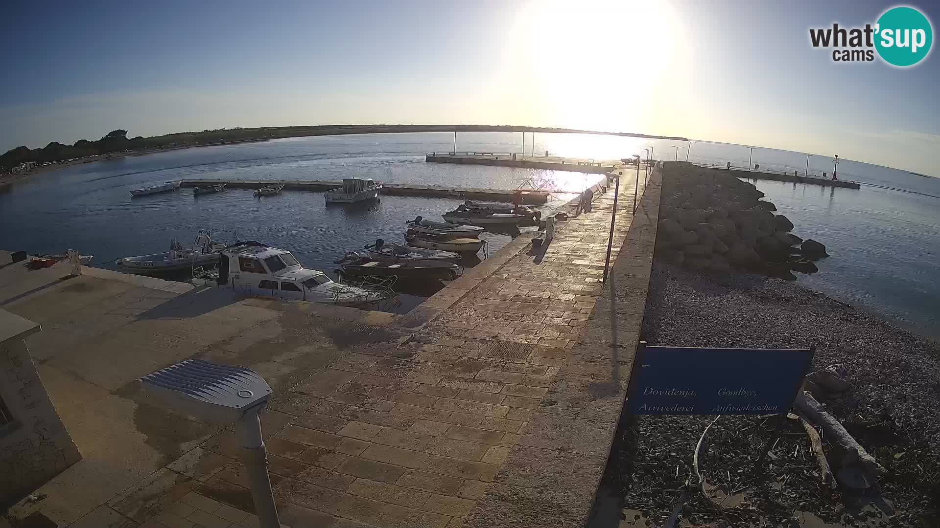 Cámara web de la isla de Unije: explore la belleza de la joya escondida de Croacia