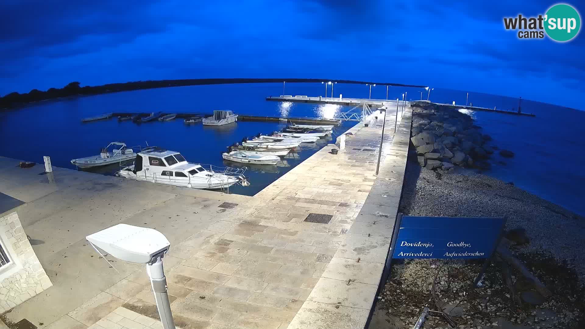 Cámara web de la isla de Unije: explore la belleza de la joya escondida de Croacia