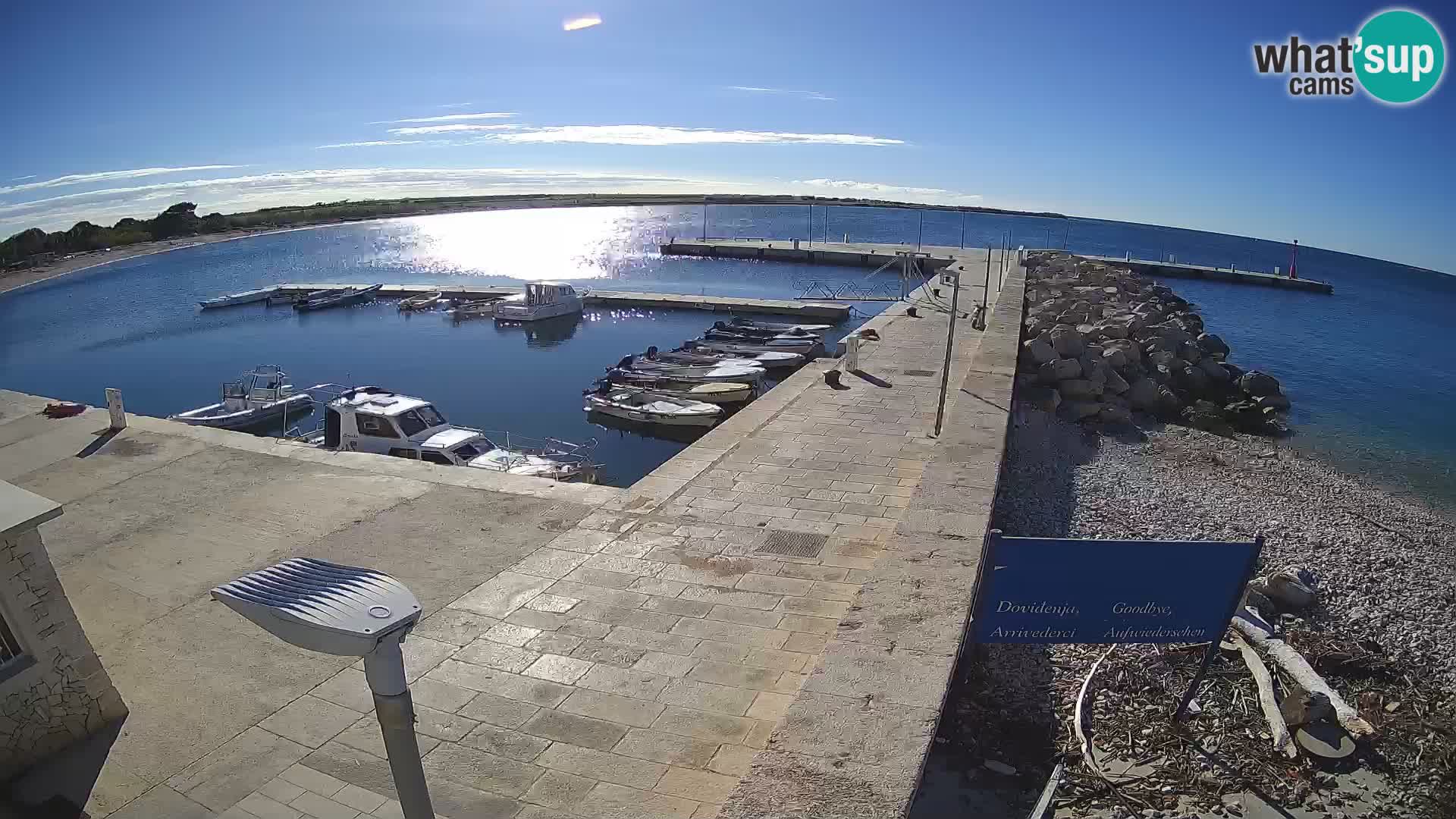Webcam Isola di Unije – Esplora la bellezza della gemma nascosta della Croazia