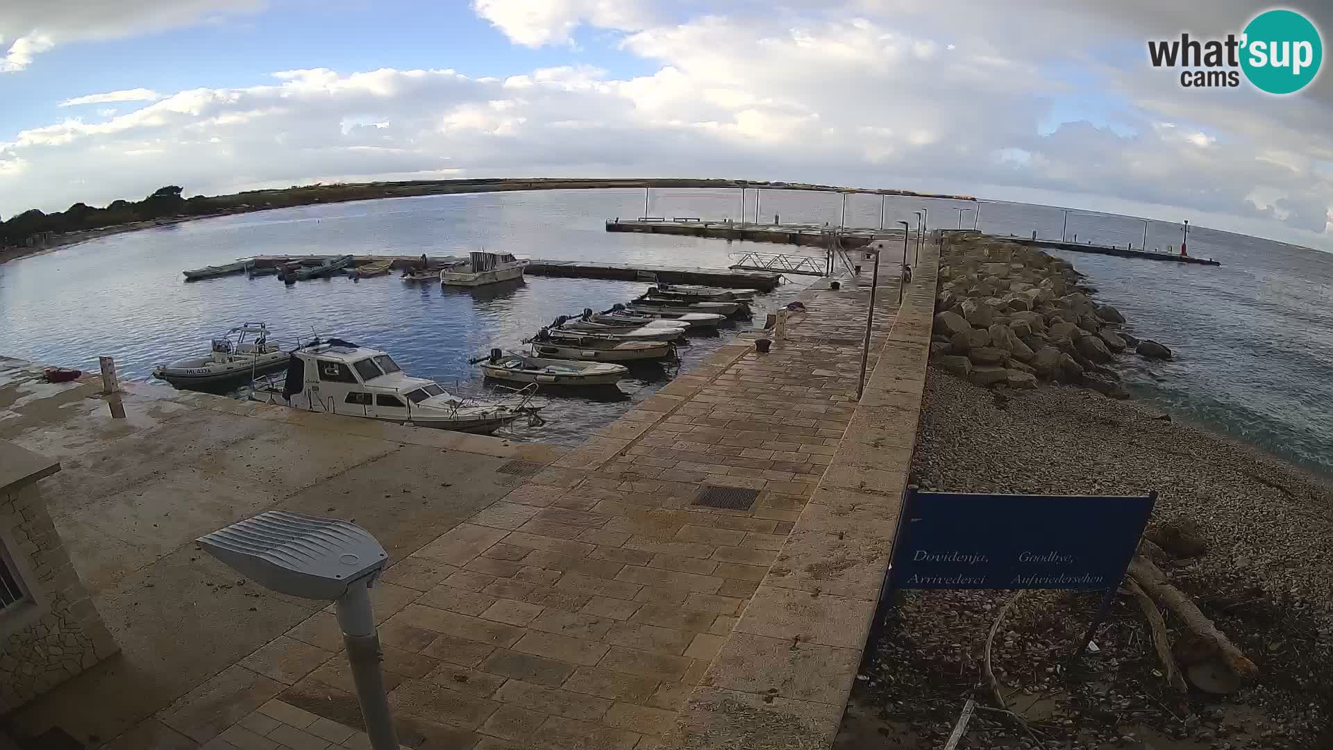 Cámara web de la isla de Unije: explore la belleza de la joya escondida de Croacia