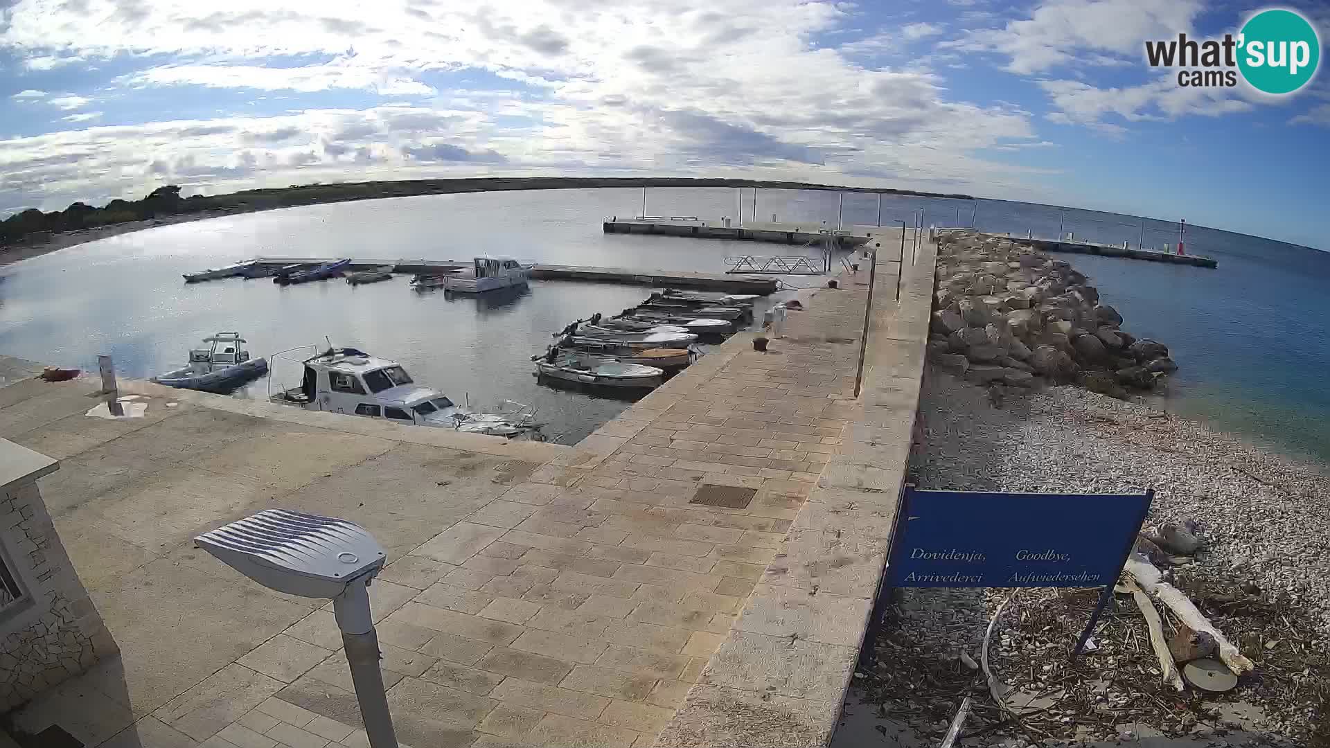 Cámara web de la isla de Unije: explore la belleza de la joya escondida de Croacia