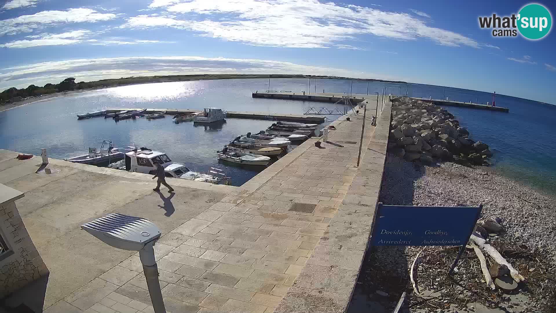 Cámara web de la isla de Unije: explore la belleza de la joya escondida de Croacia