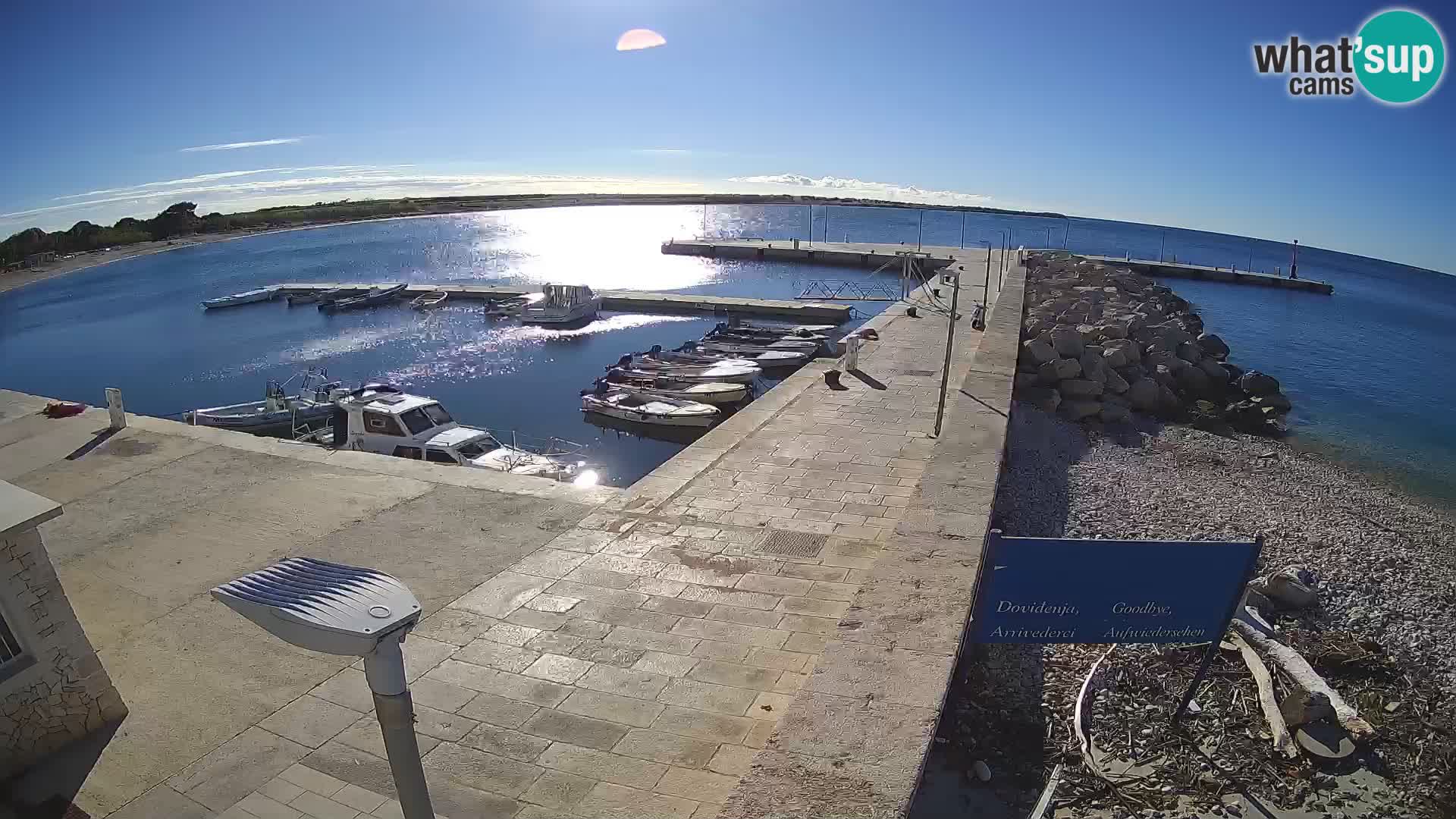 Webcam Isola di Unije – Esplora la bellezza della gemma nascosta della Croazia