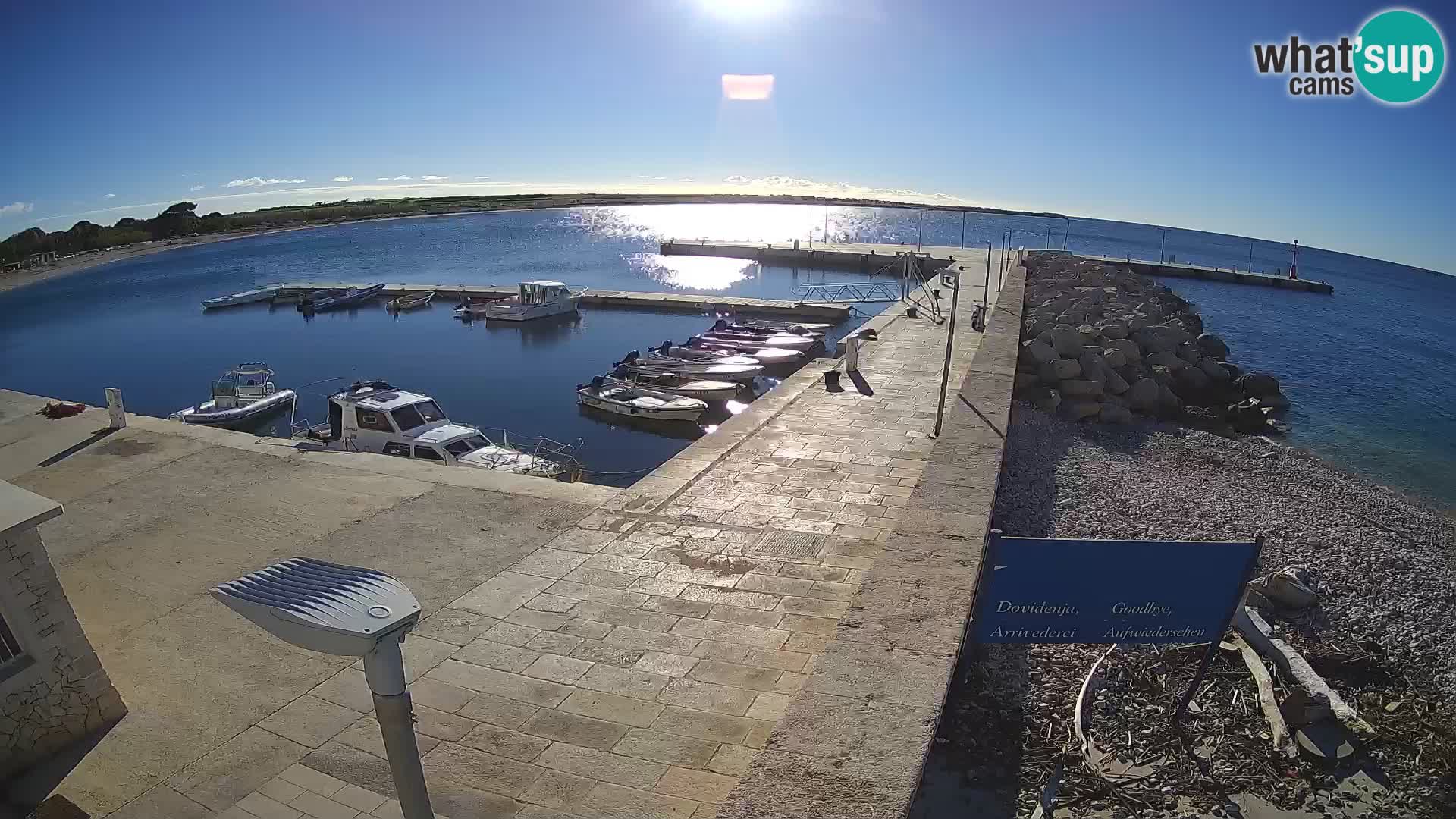 Cámara web de la isla de Unije: explore la belleza de la joya escondida de Croacia