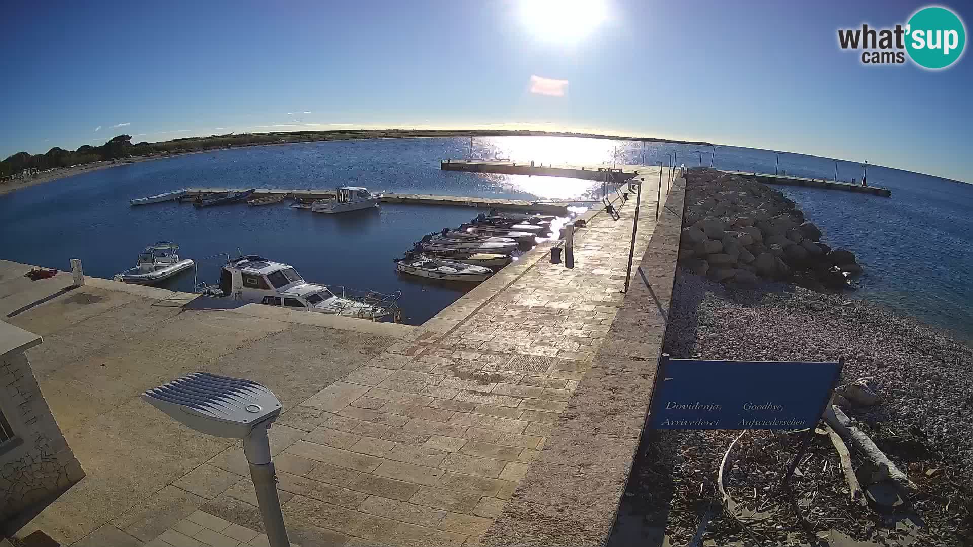Cámara web de la isla de Unije: explore la belleza de la joya escondida de Croacia