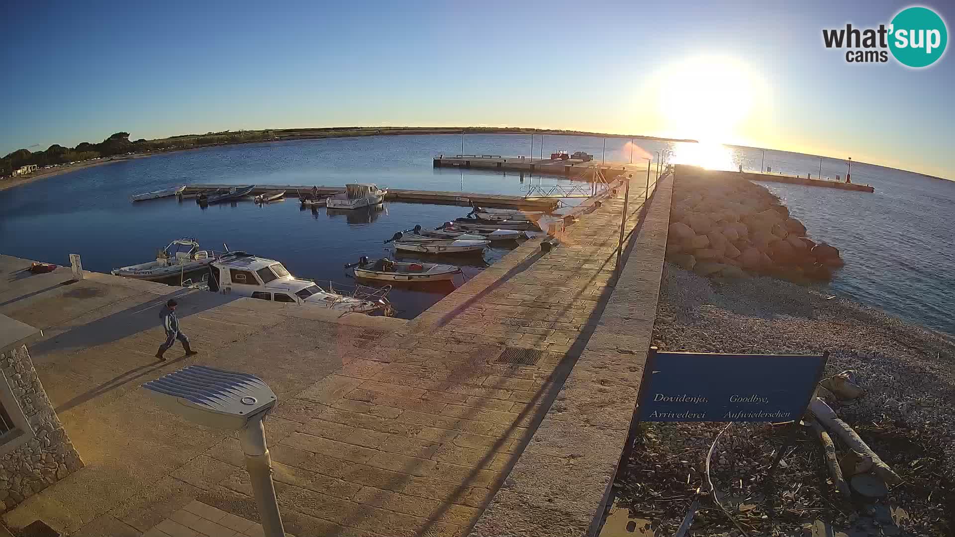 Cámara web de la isla de Unije: explore la belleza de la joya escondida de Croacia