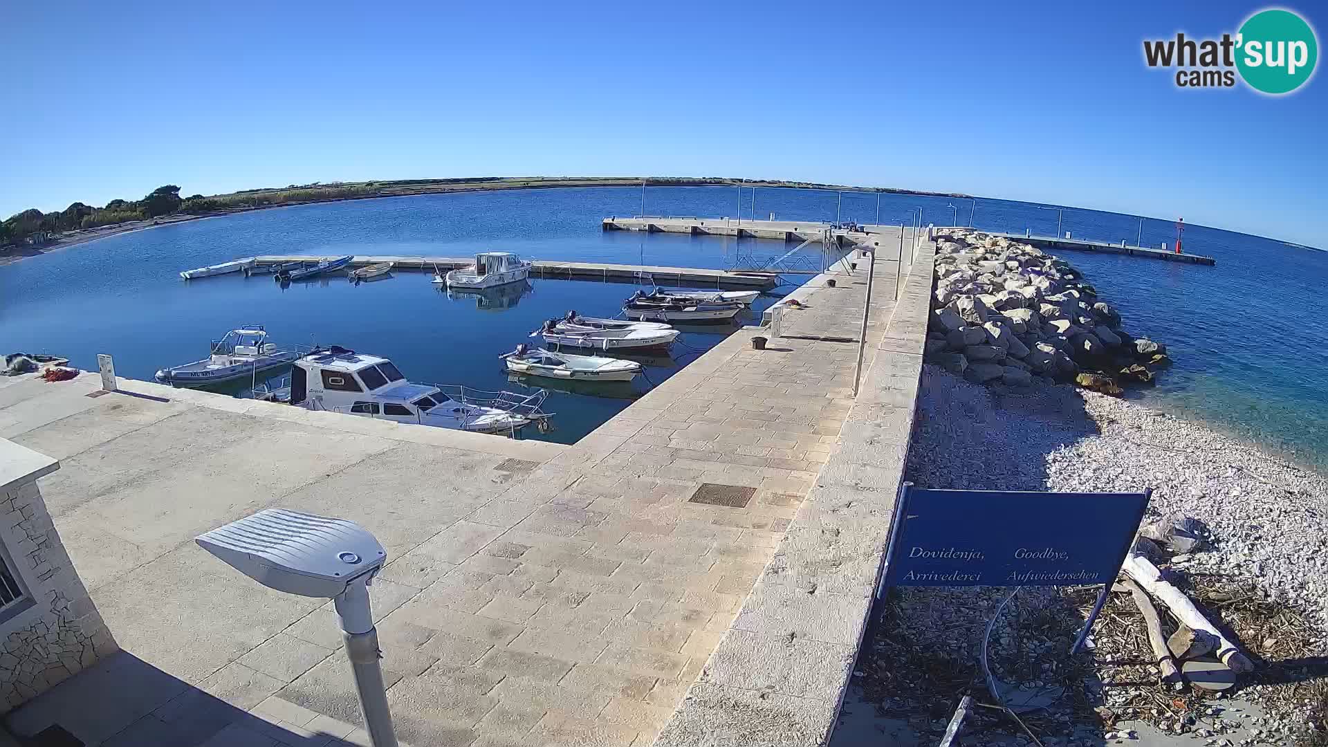 Cámara web de la isla de Unije: explore la belleza de la joya escondida de Croacia