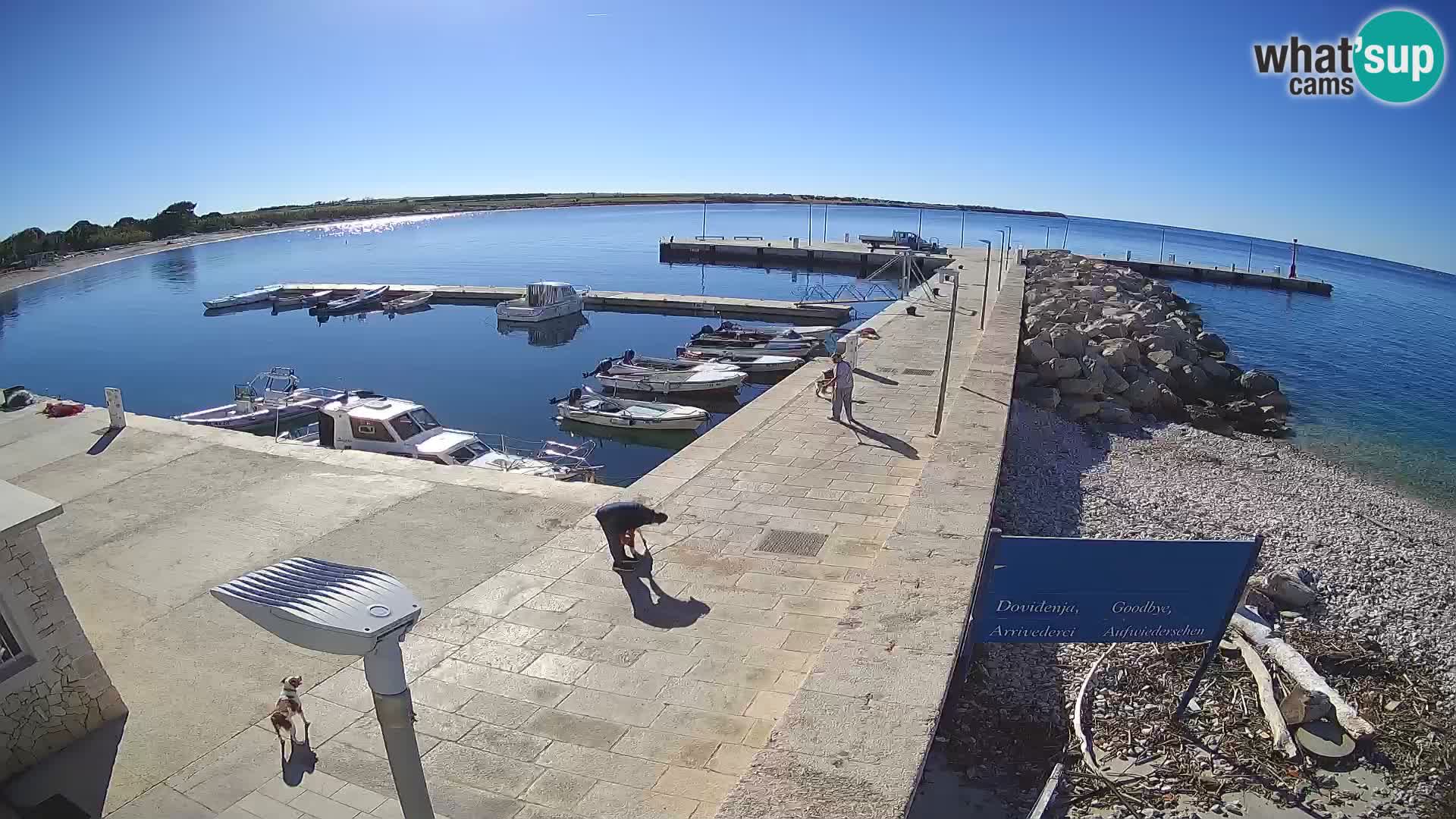 Cámara web de la isla de Unije: explore la belleza de la joya escondida de Croacia