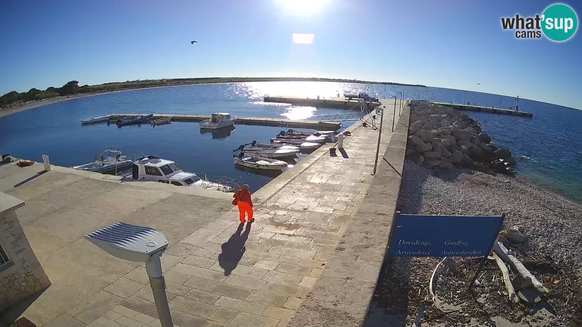 Unije Island Webcam – Explore the Beauty of Croatia’s Hidden Gem