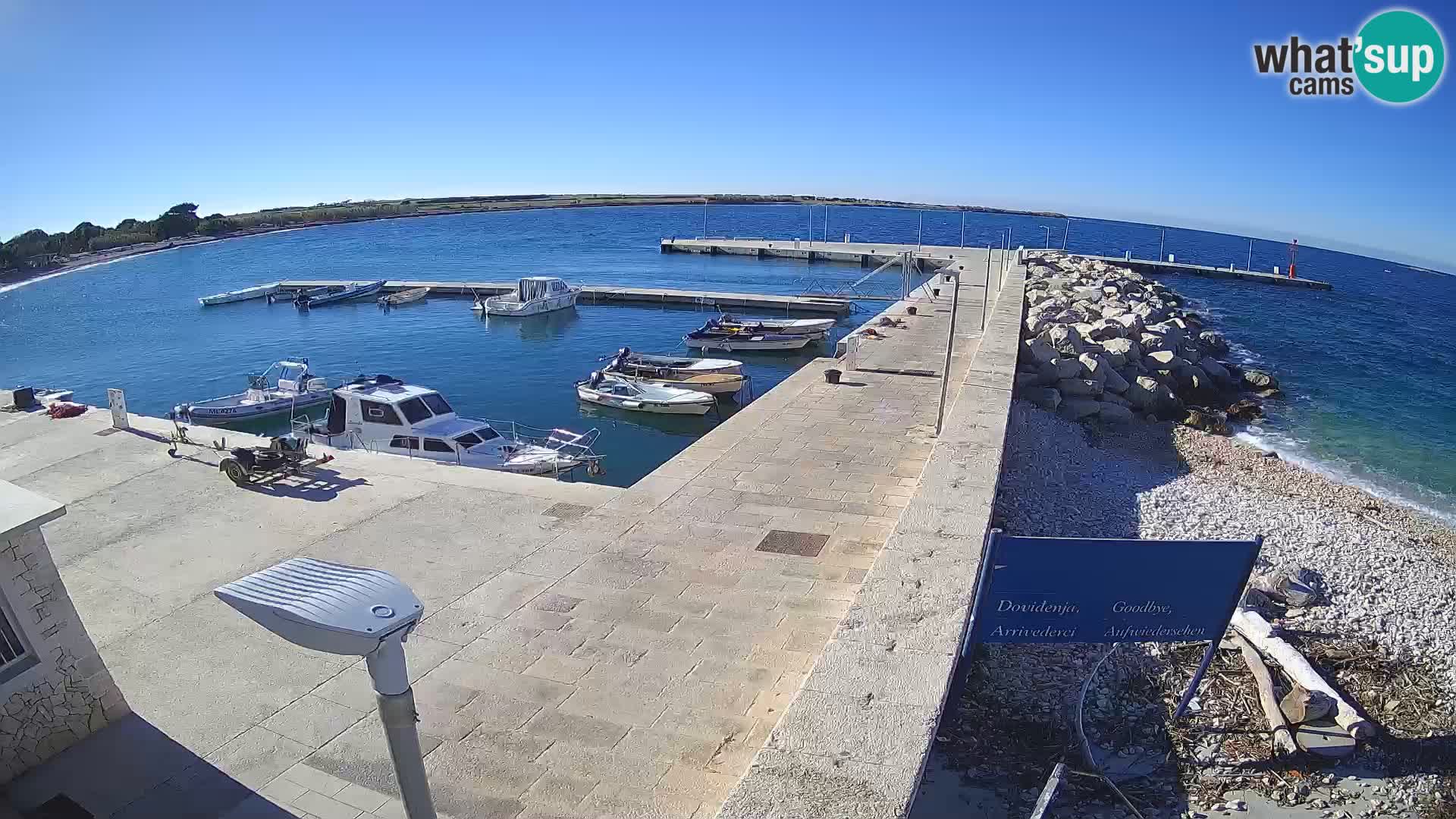 Cámara web de la isla de Unije: explore la belleza de la joya escondida de Croacia