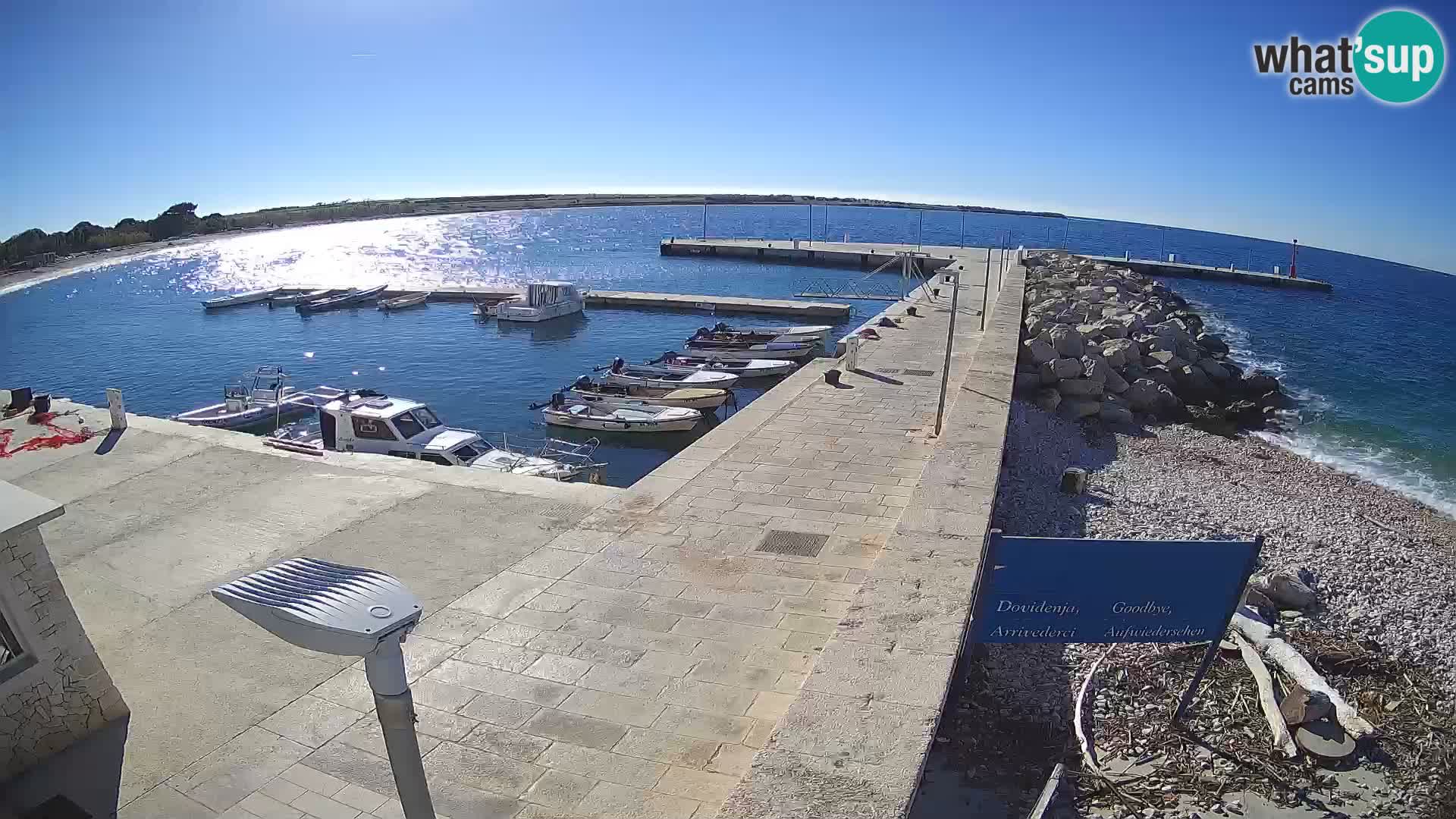 Cámara web de la isla de Unije: explore la belleza de la joya escondida de Croacia