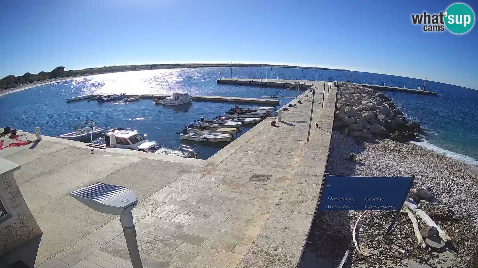 Cámara web de la isla de Unije: explore la belleza de la joya escondida de Croacia