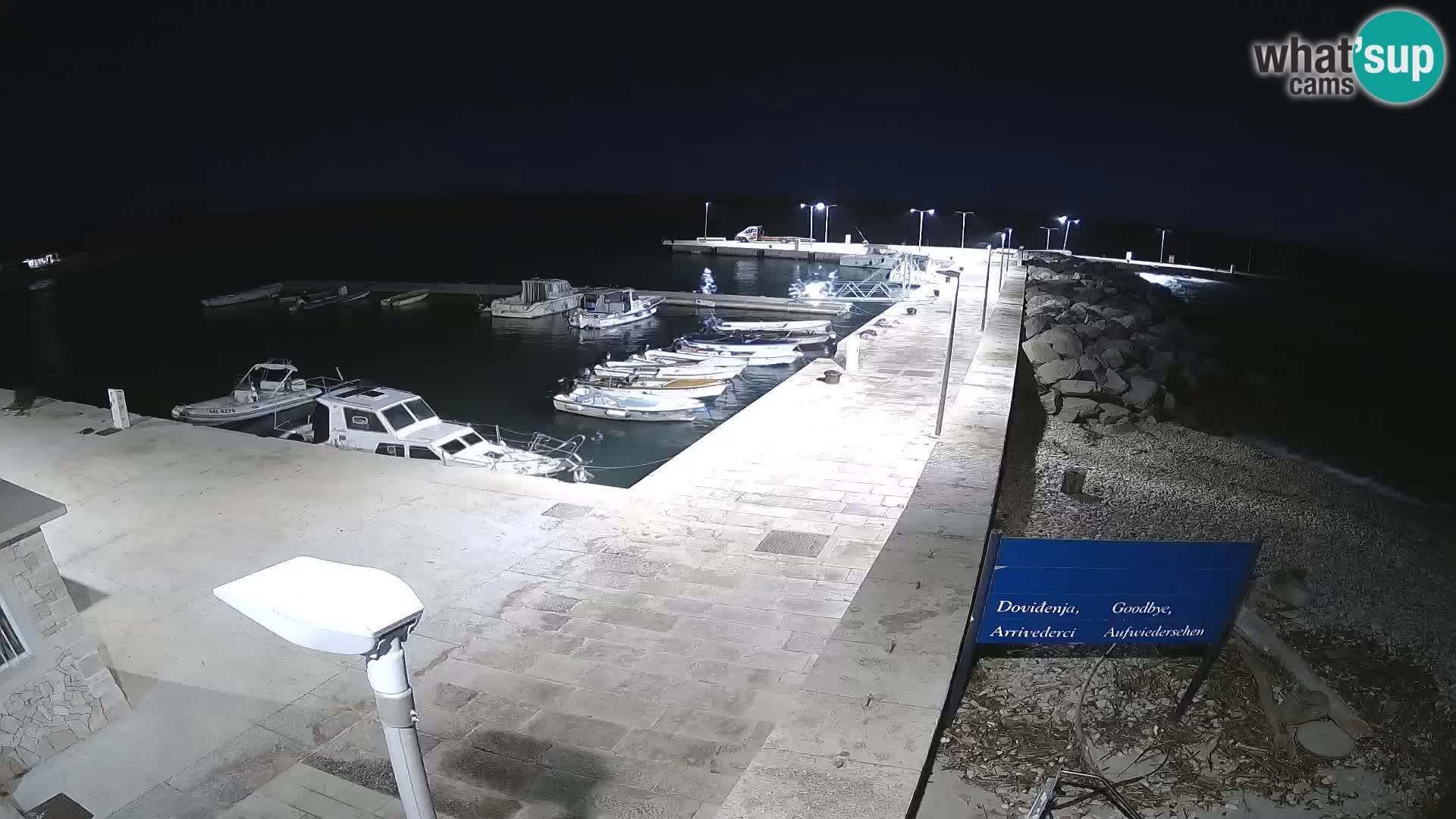 Cámara web de la isla de Unije: explore la belleza de la joya escondida de Croacia