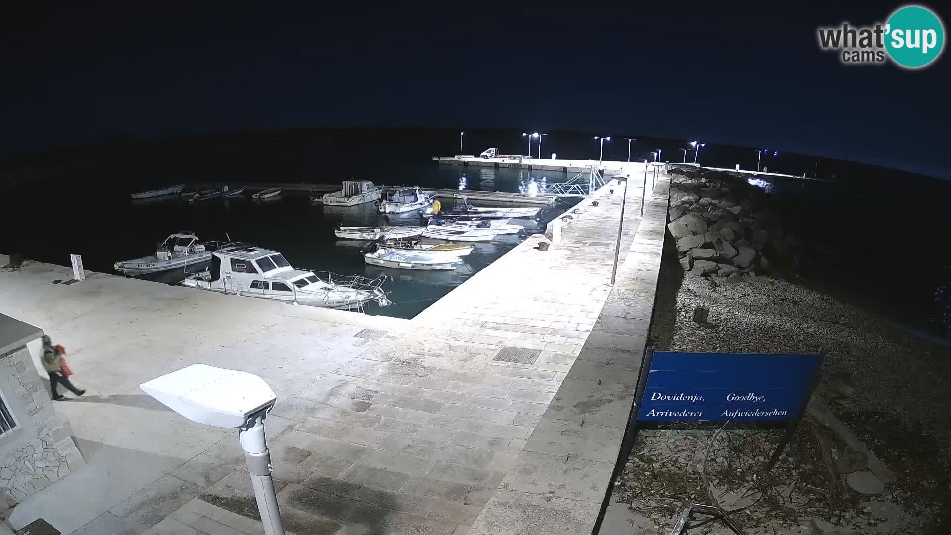 Webcam Isola di Unije – Esplora la bellezza della gemma nascosta della Croazia