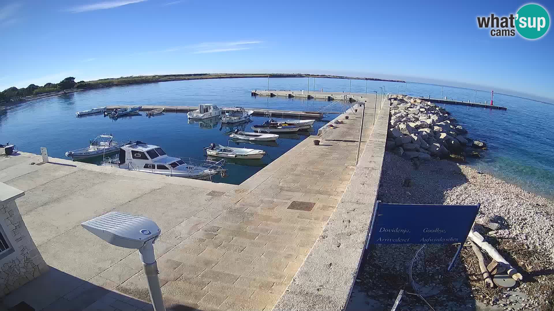 Cámara web de la isla de Unije: explore la belleza de la joya escondida de Croacia