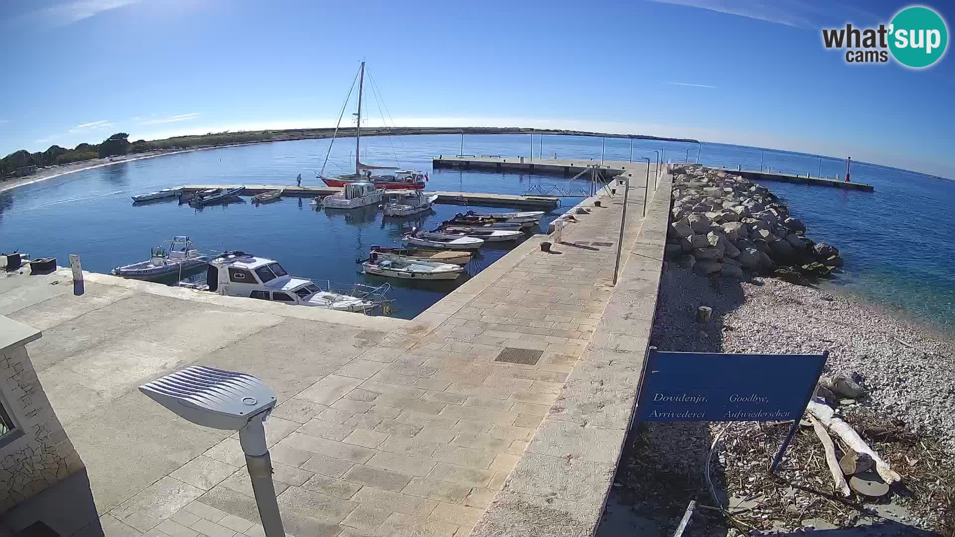 Cámara web de la isla de Unije: explore la belleza de la joya escondida de Croacia