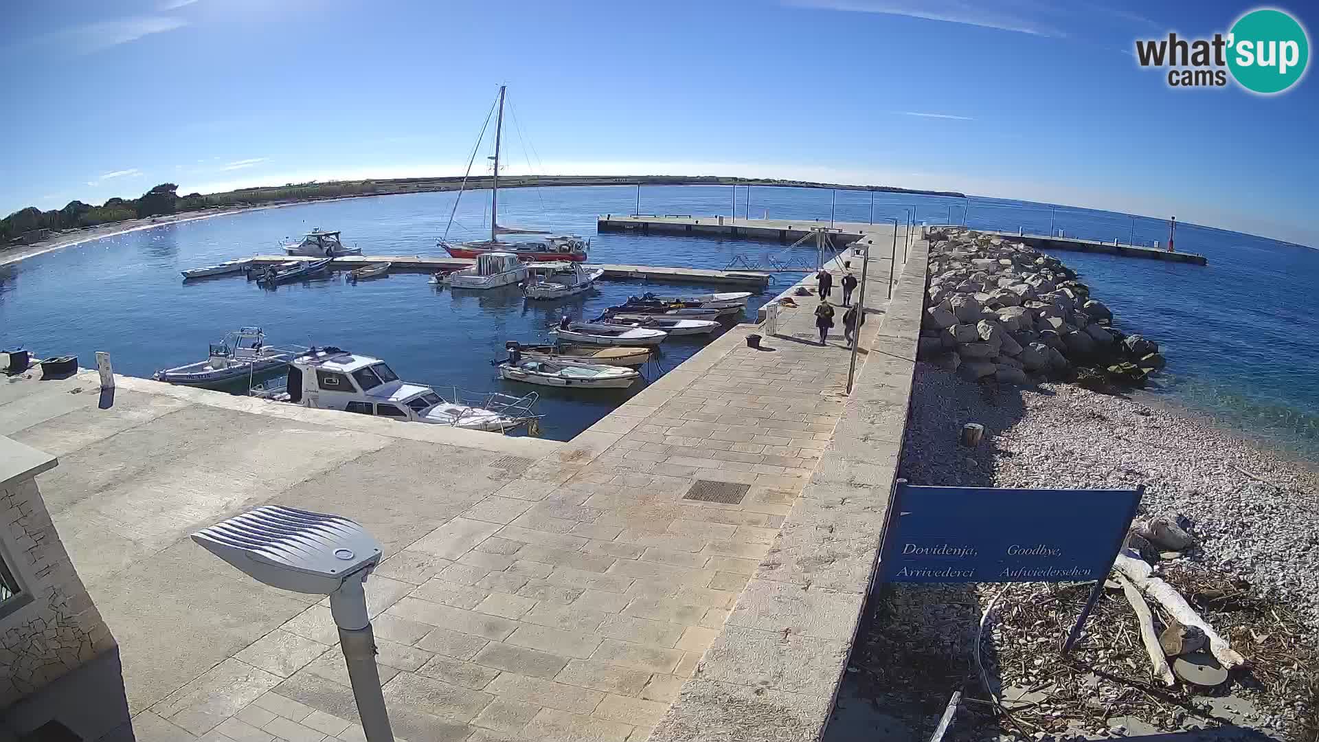 Cámara web de la isla de Unije: explore la belleza de la joya escondida de Croacia