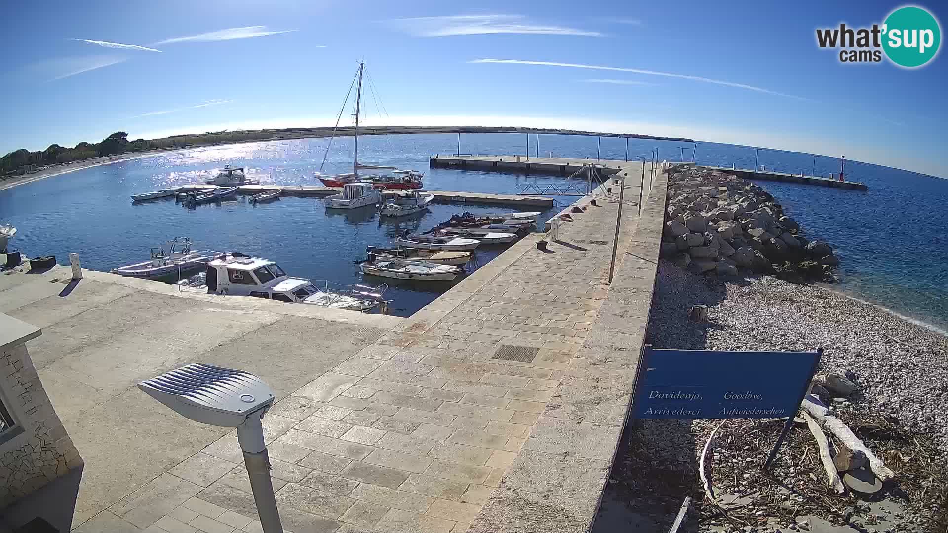 Cámara web de la isla de Unije: explore la belleza de la joya escondida de Croacia